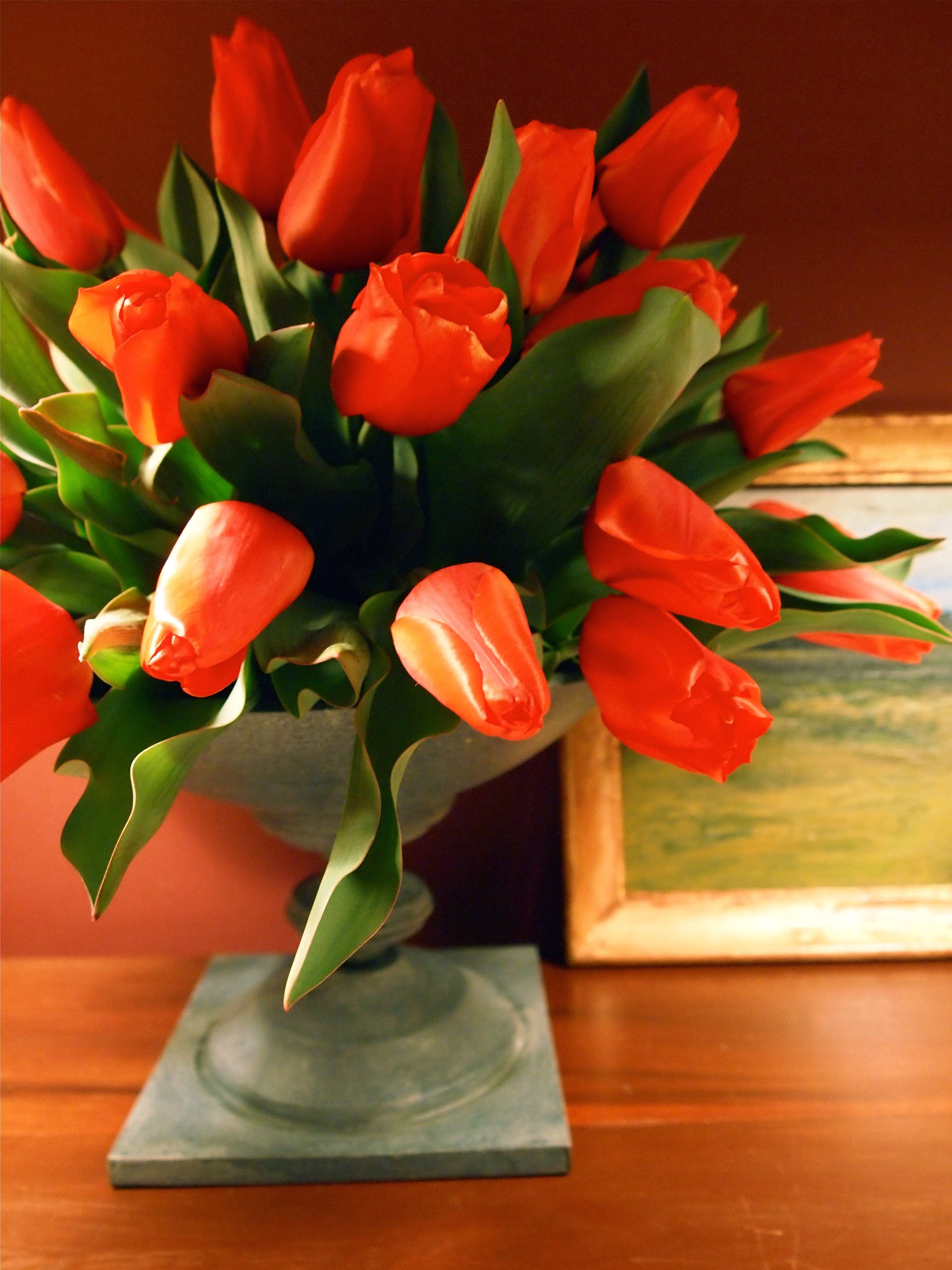 Fire Red Organic Tulips | FLOWERS | Pinterest | Flowers, Flower ...