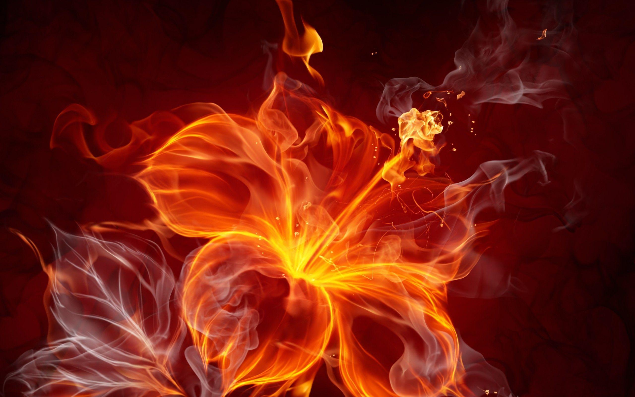 Fire Flower Desktop Wallpaper Hd Full Backgrounds Of Mobile Phones ...
