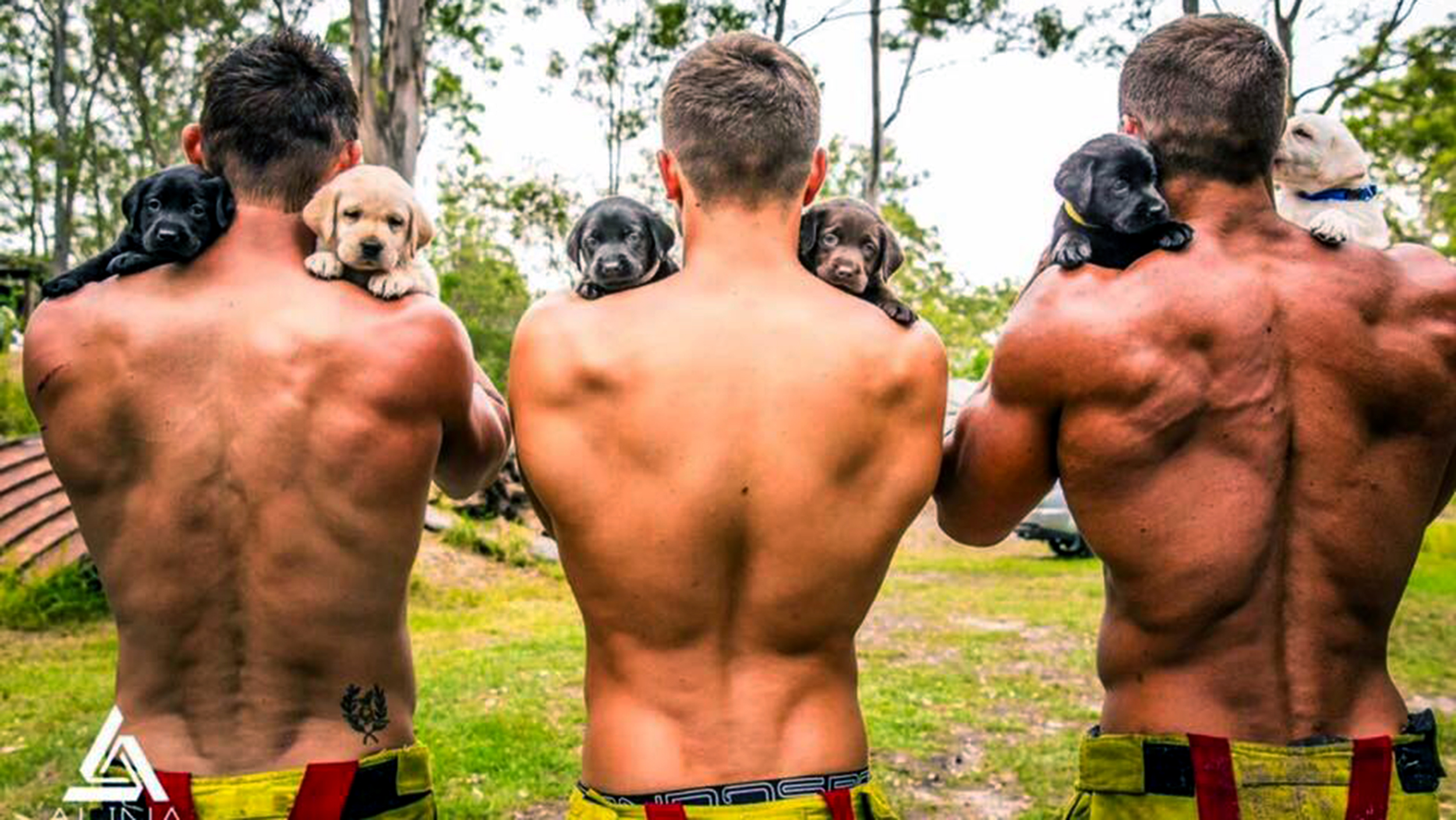 Firefighters pose with puppies to benefit charity calendar