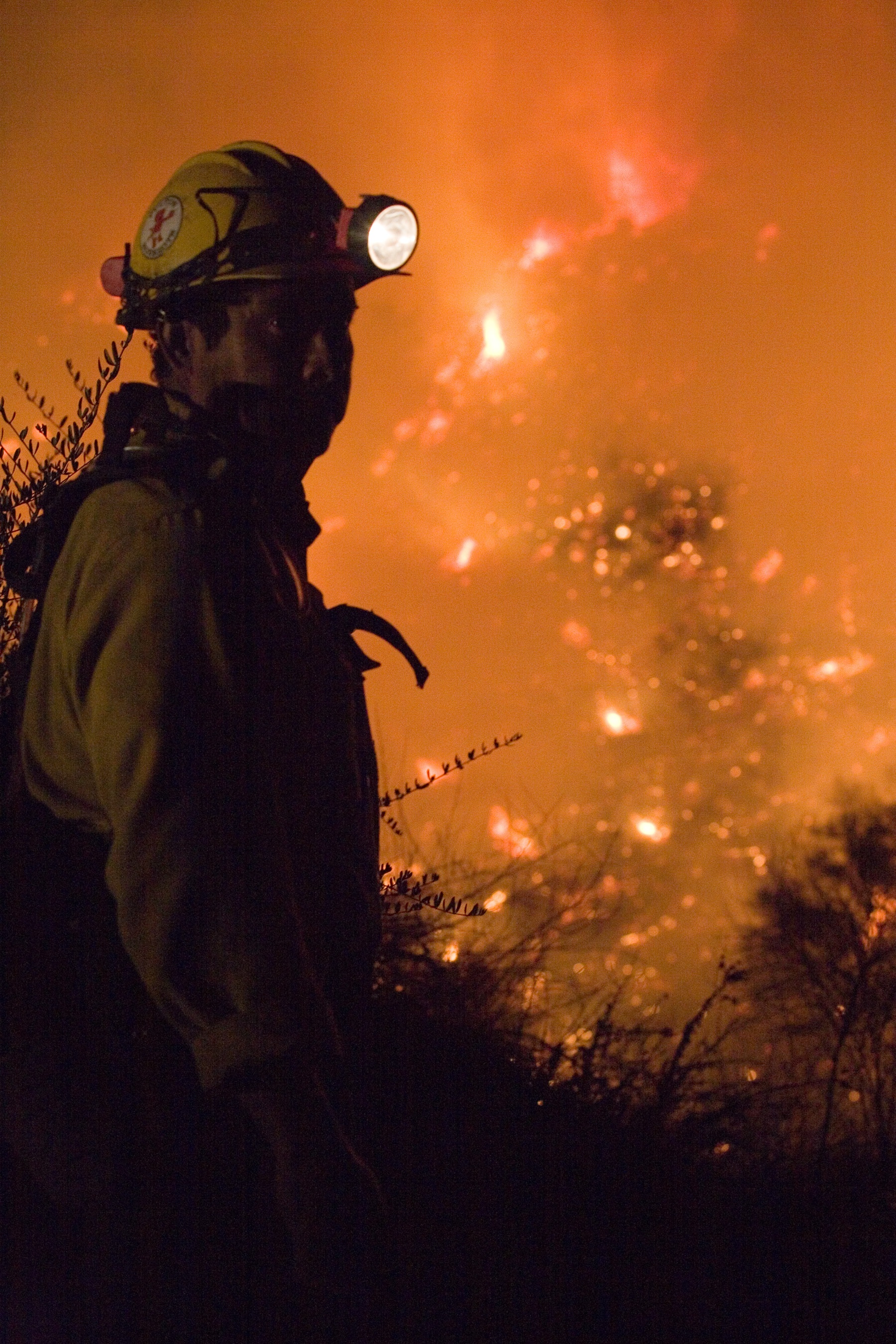 Firefighters on work photo
