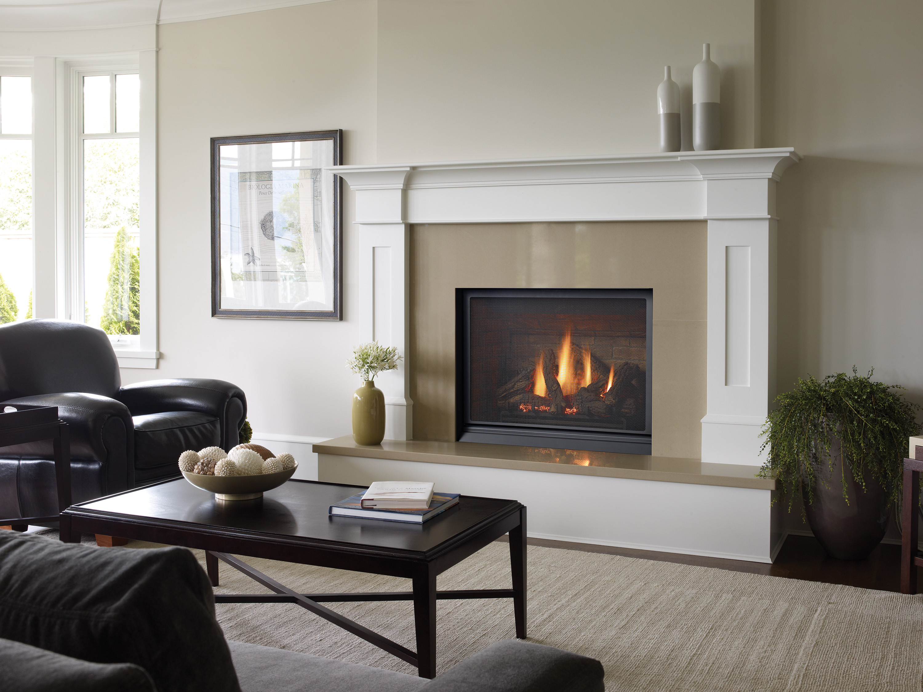 Gas Fireplaces |