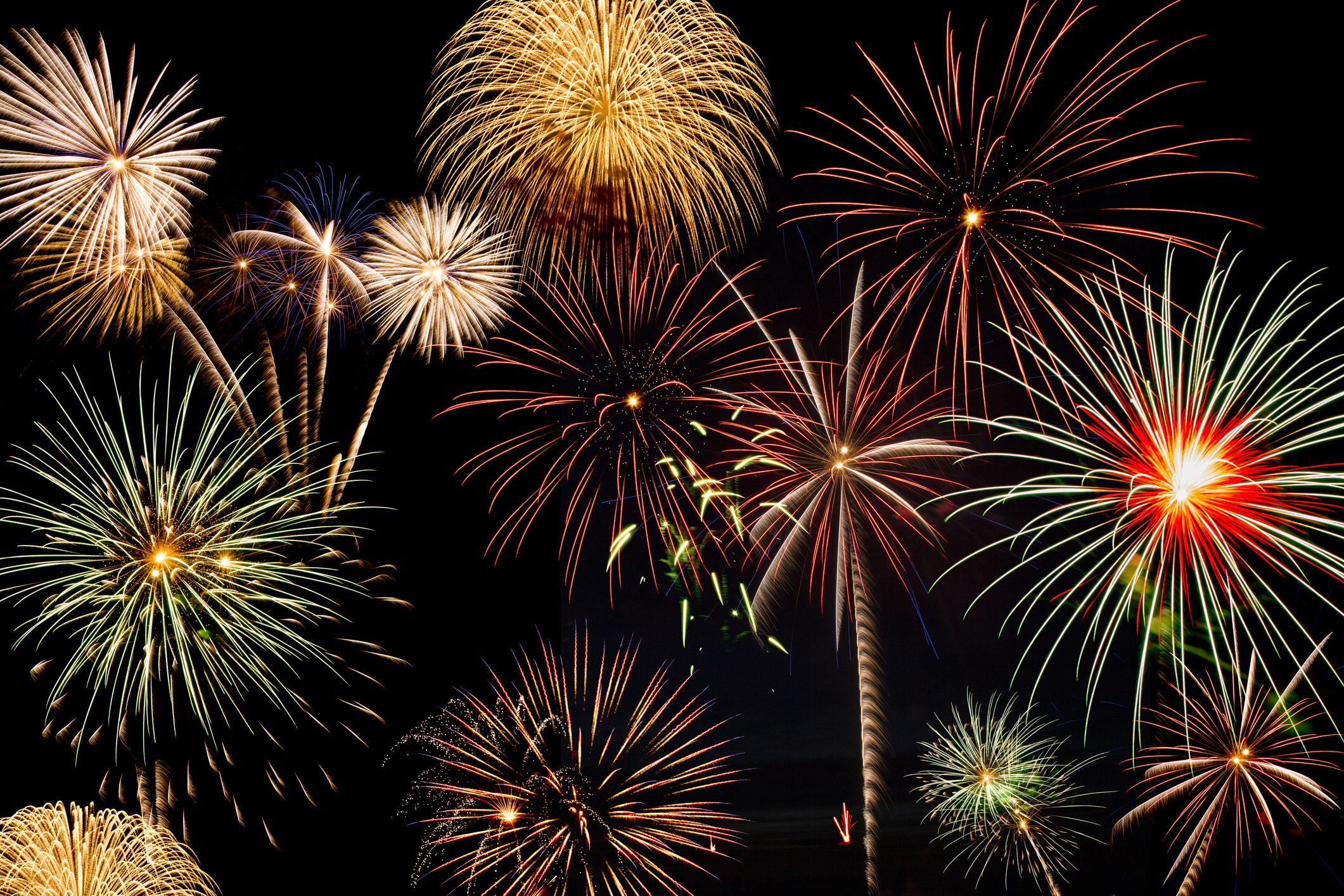 A petition has been signed by thousands of people to ban firework ...