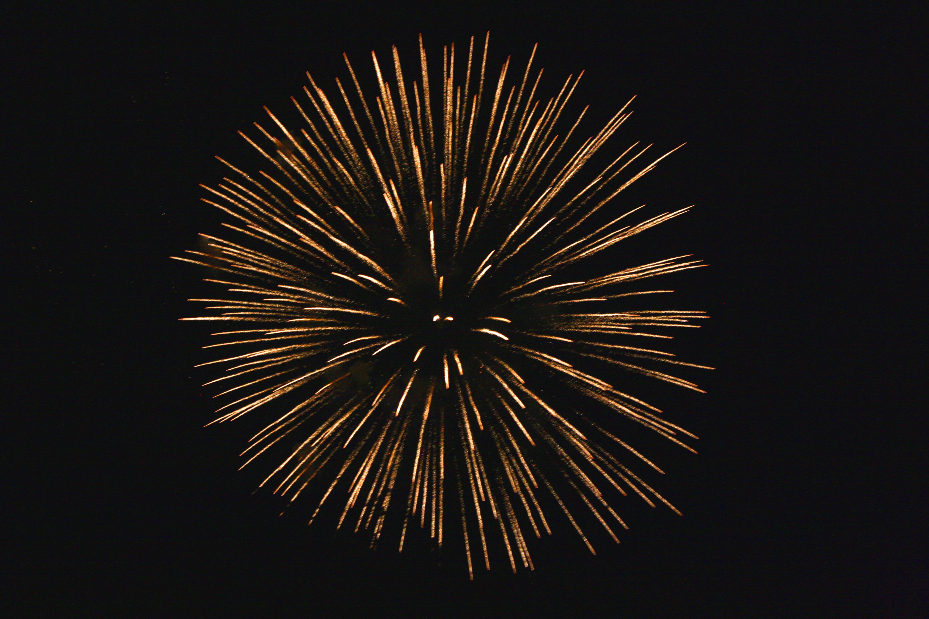 Golden Starburst Fireworks Picture | Free Photograph | Photos Public ...