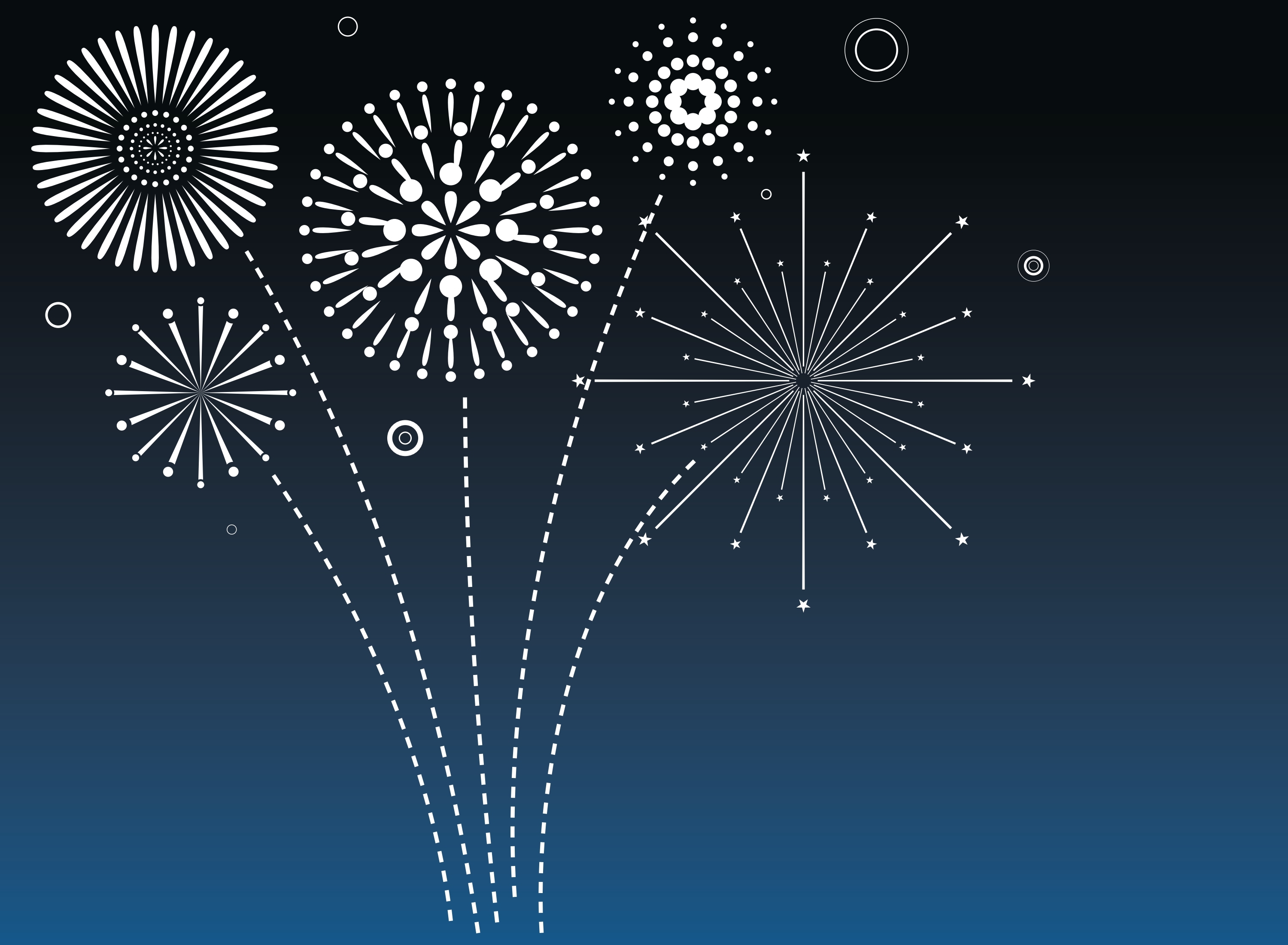 Fourth of July Fireworks Cruise! | Angel Island Tiburon Ferry Company