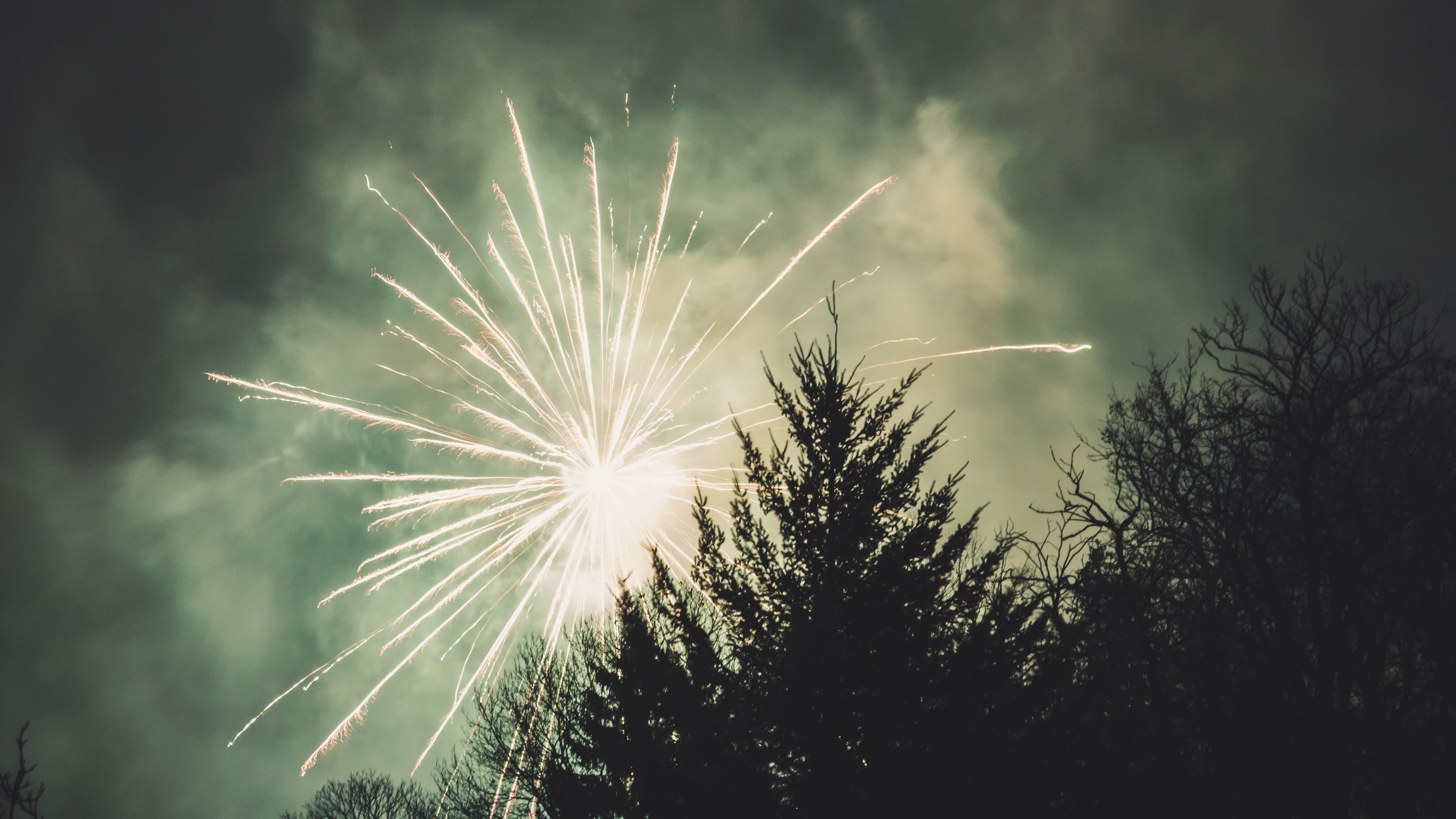 Fireworks Display Above Trees, 2018, Lights, Sparks, Sky, HQ Photo