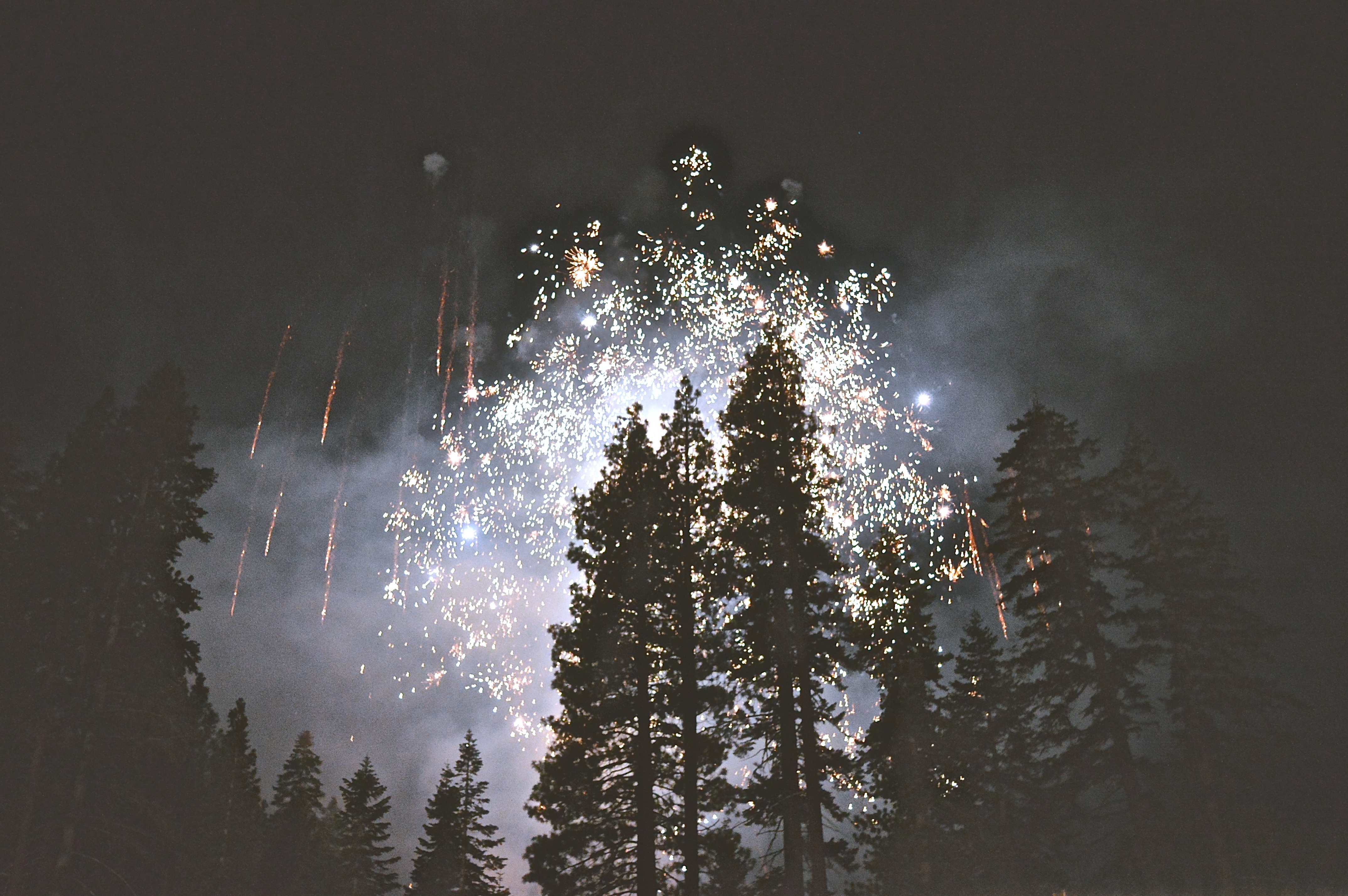 Fireworks in the woods photo