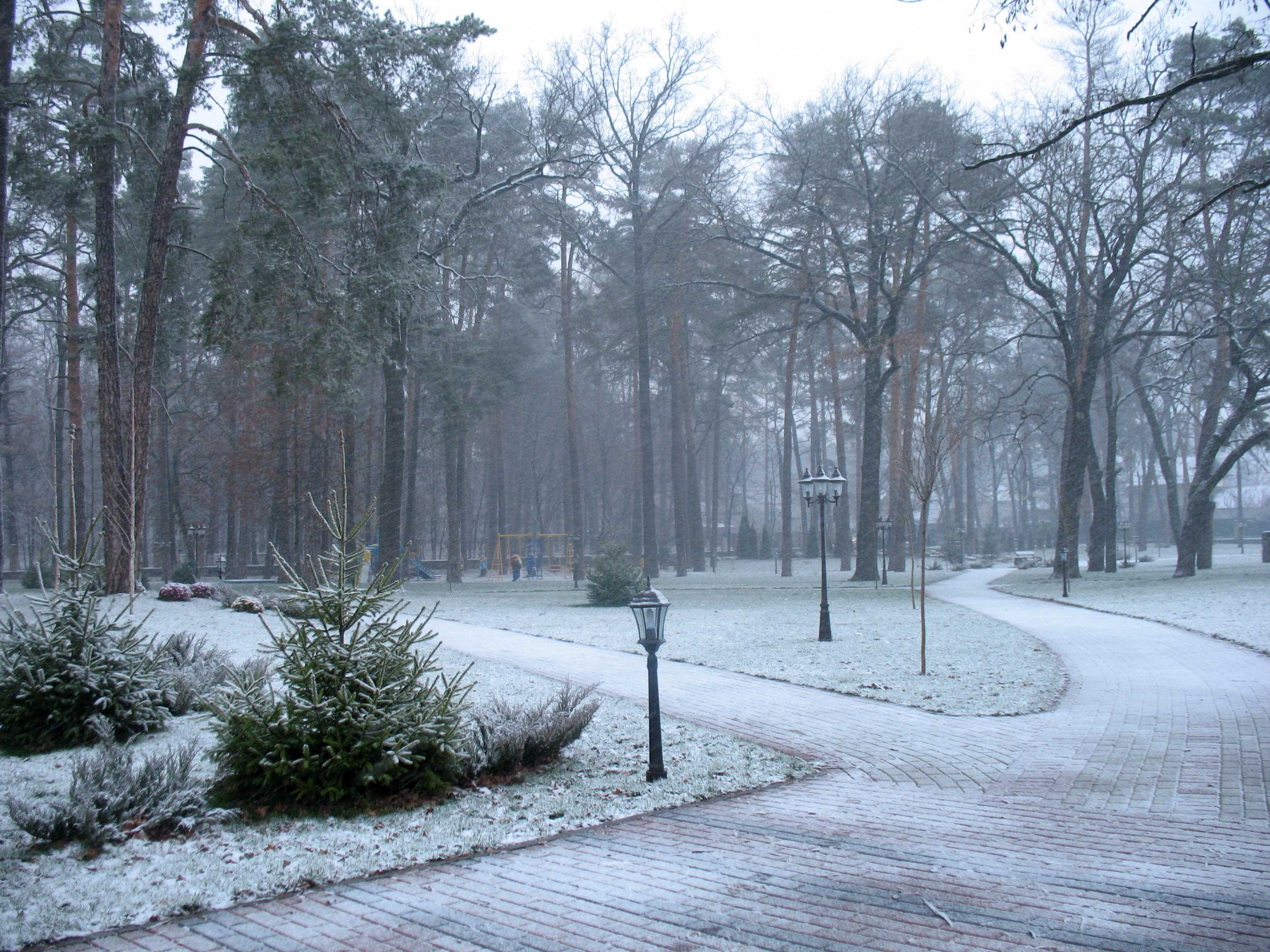 File:Ukraine Irpen 2010. First snow. Friendship park the Academician ...