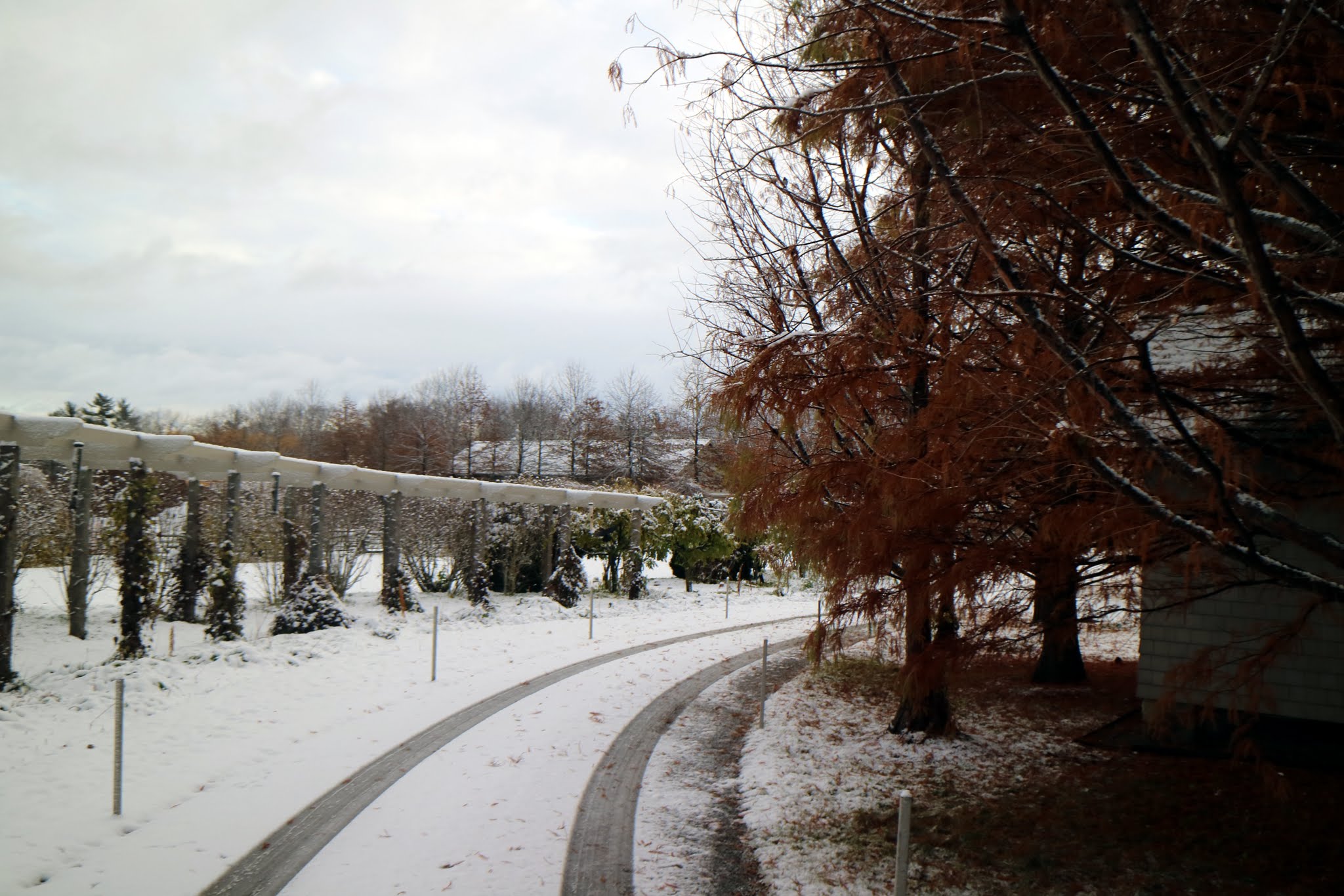 The Season's First Snowfall at the Farm - The Martha Stewart Blog