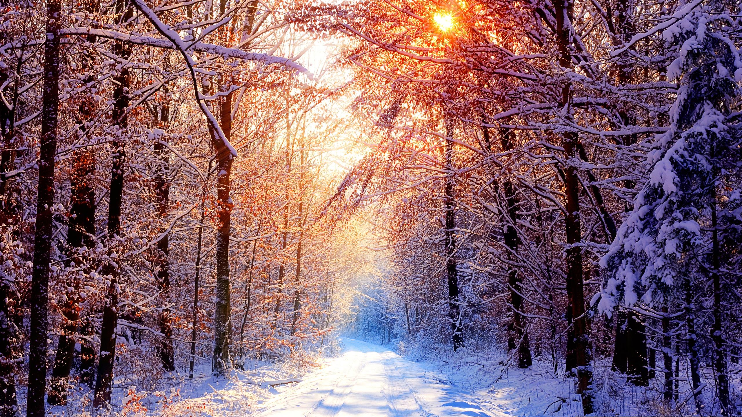 Incredible Wallpapers: First Snow Wallpapers, Amazing First Snow ...