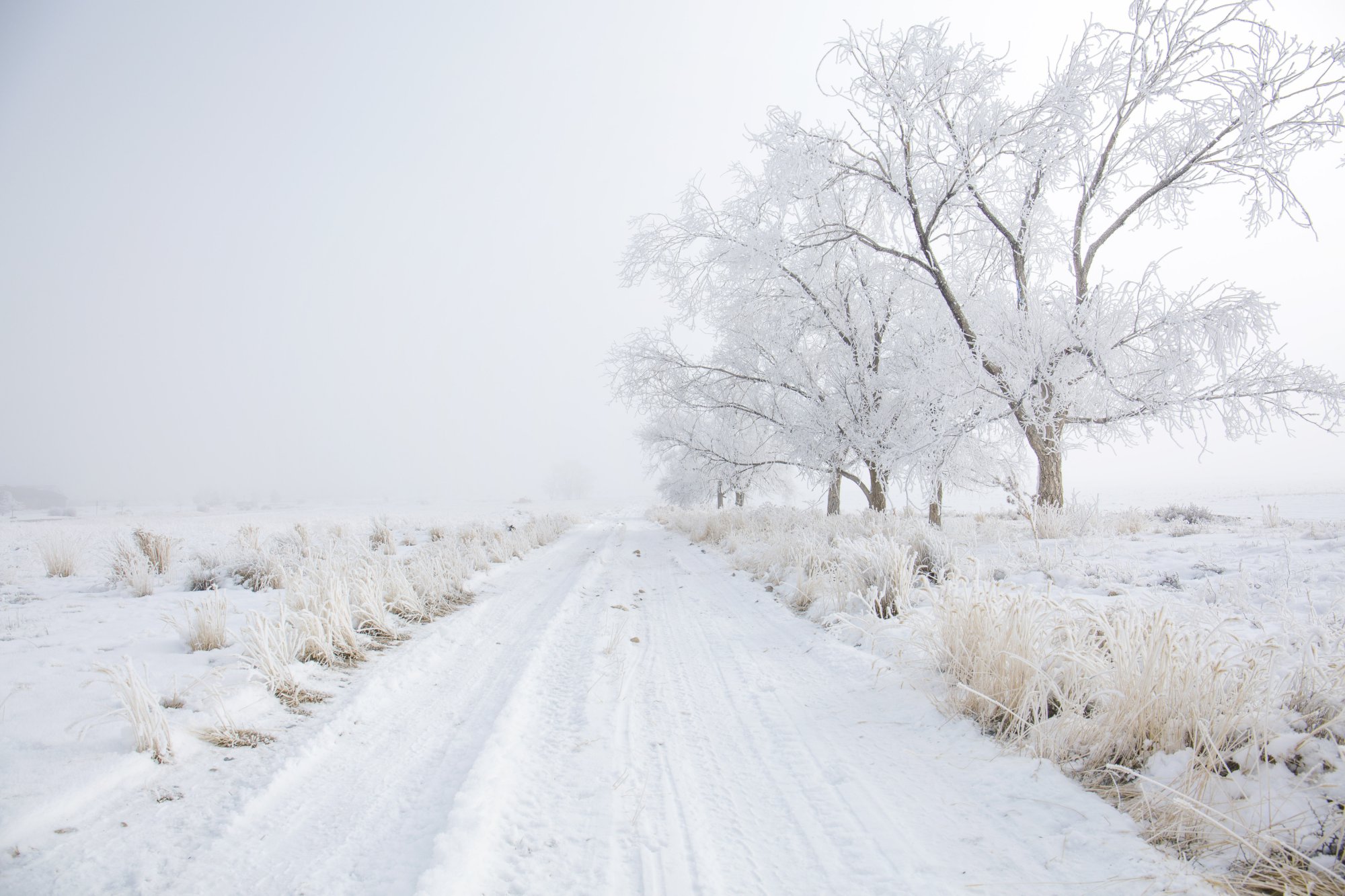 Photos: Utah's first snow storm of the season | fox13now.com