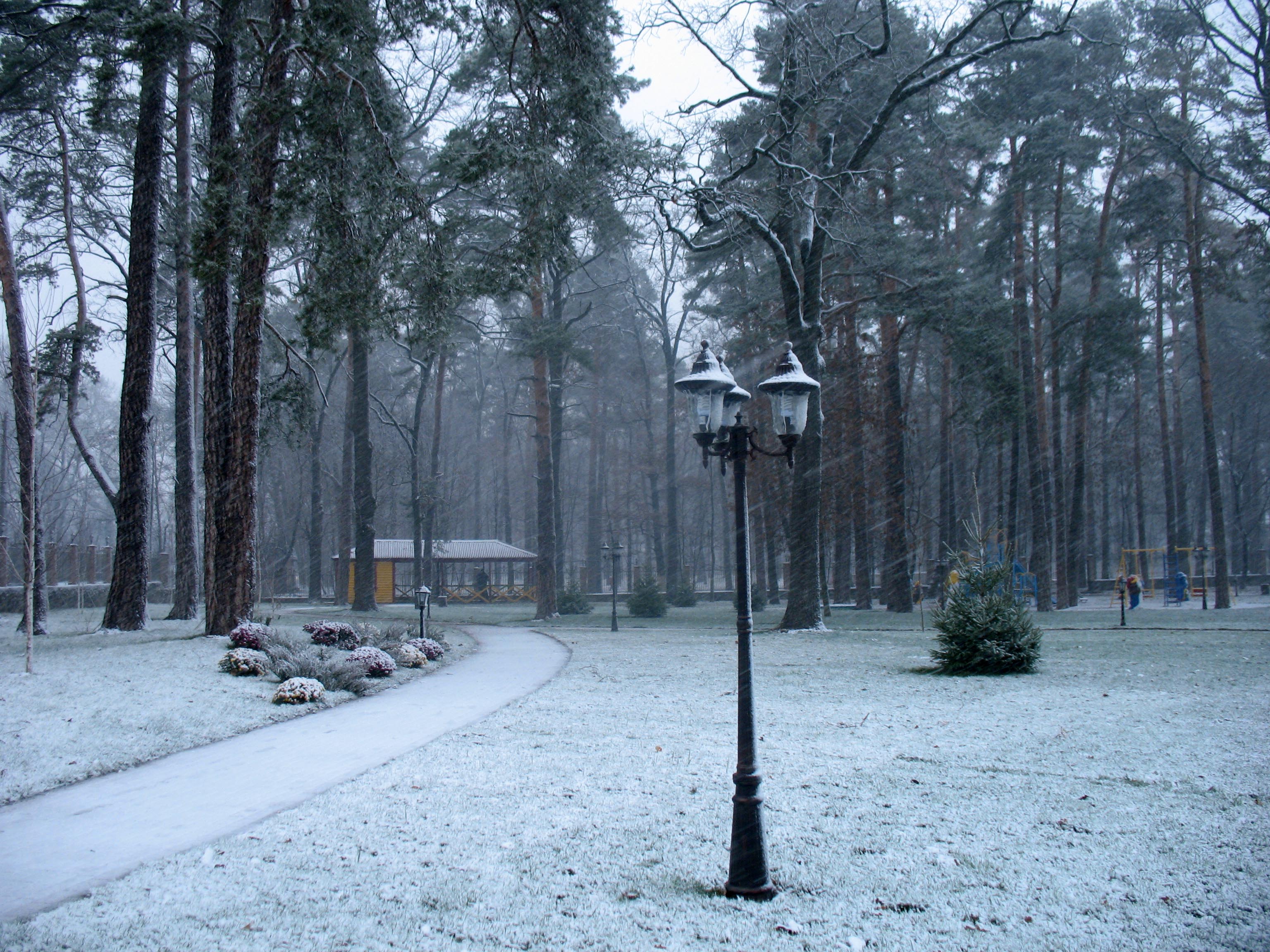 File:Ukraine Irpen 2010. First snow. Friendship park the Academician ...