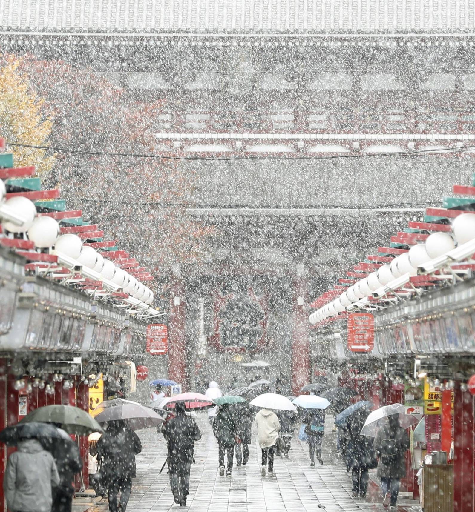 Tokyo area gets first November dusting of snow in 54 years | The ...