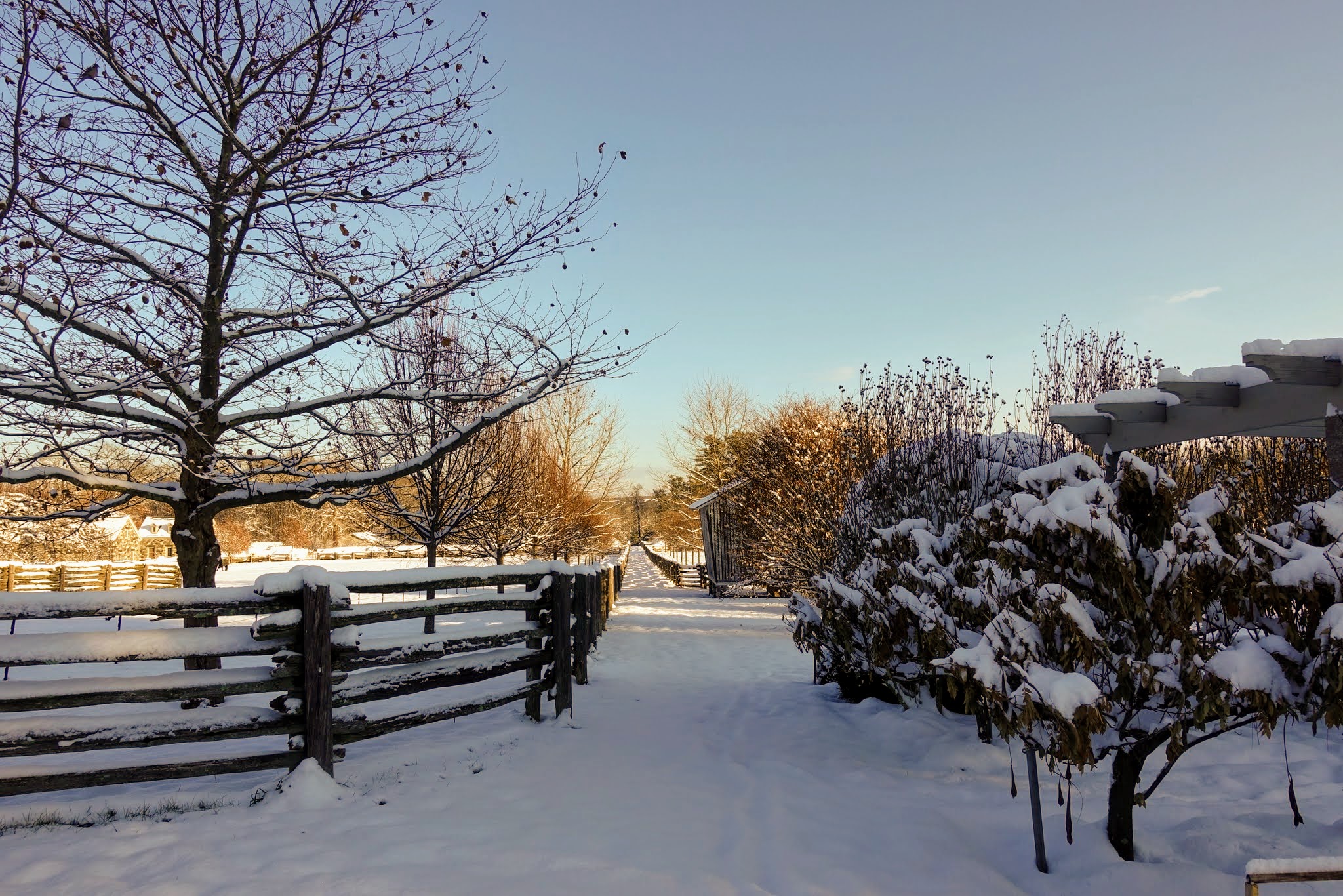 The First Snowfall of the Season at the Farm - The Martha Stewart Blog