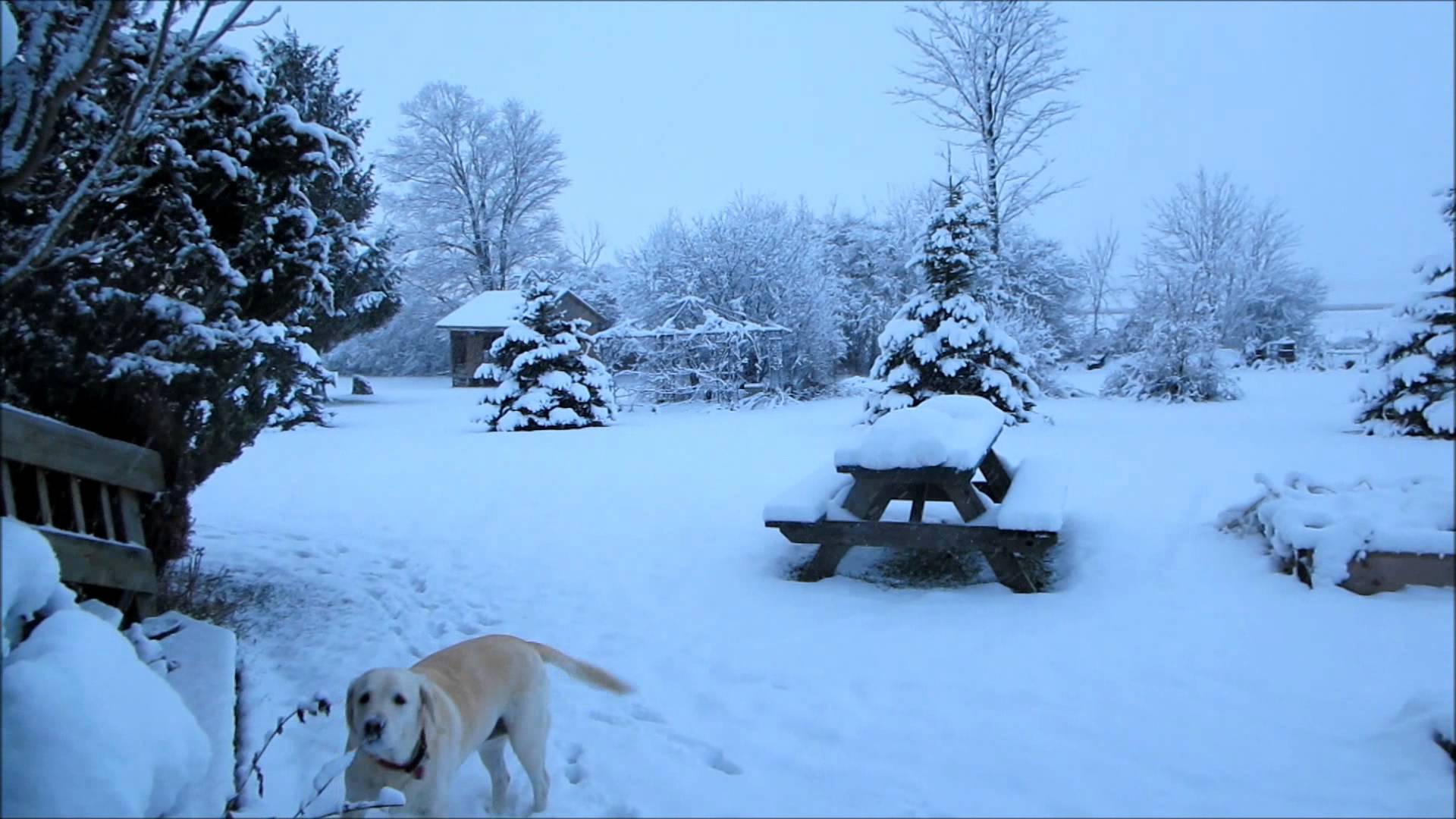 First Snow Fergus Canada 21 22 Nov 2015 - YouTube