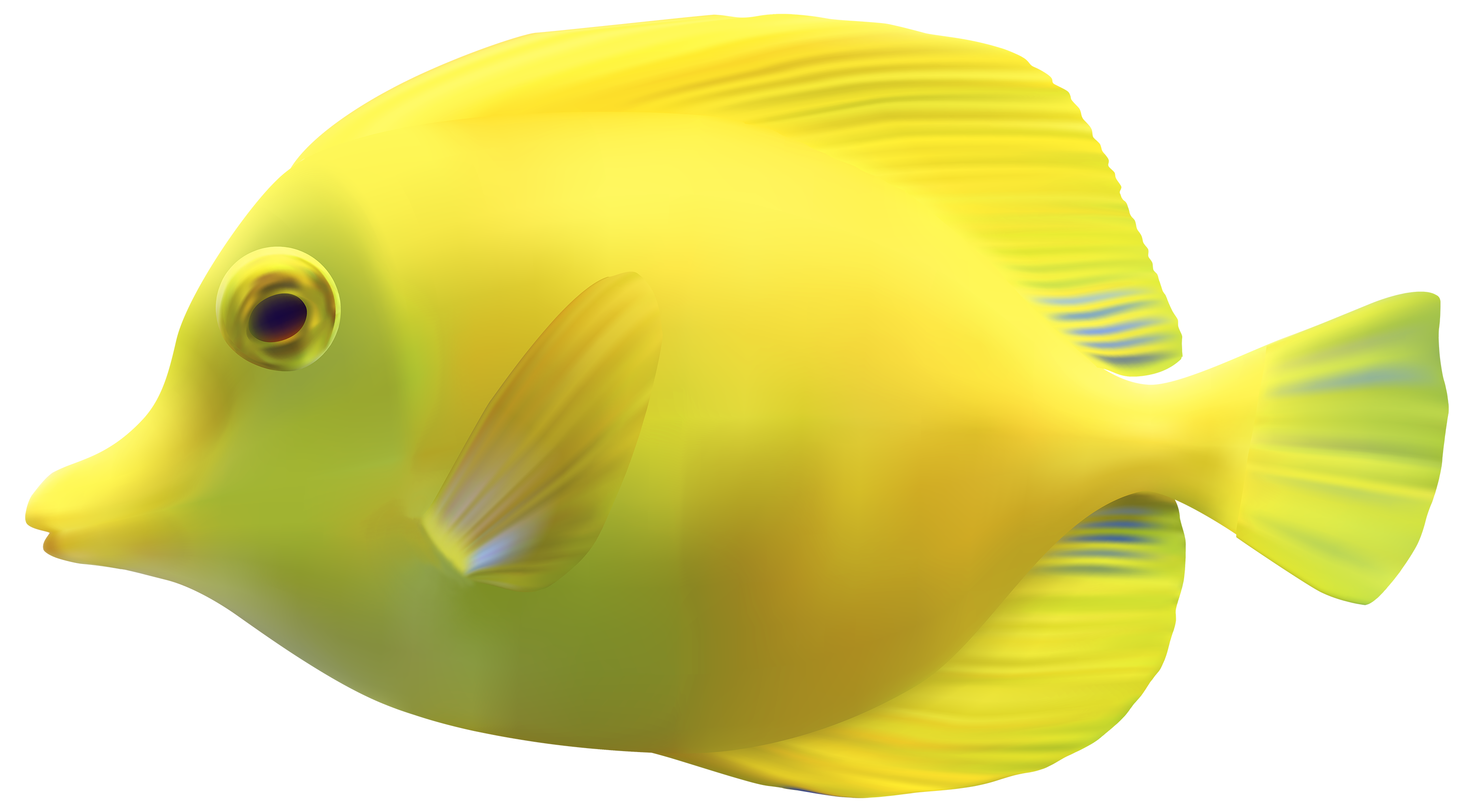 Yellow ZebrasomaTang Fish PNG Clipart - Best WEB Clipart