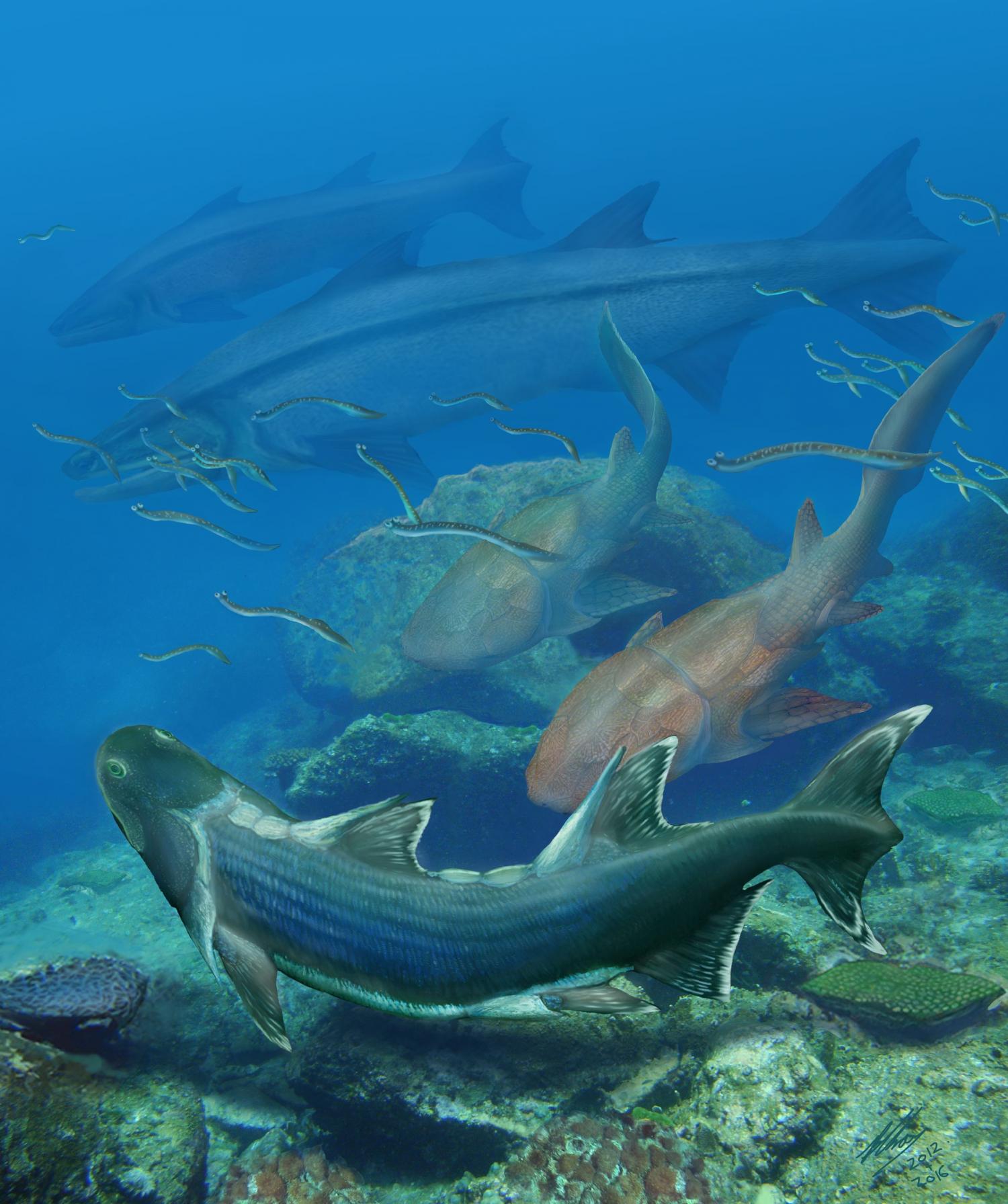 Ancient southern China fish may have evolved prior to the 'Age of Fish'