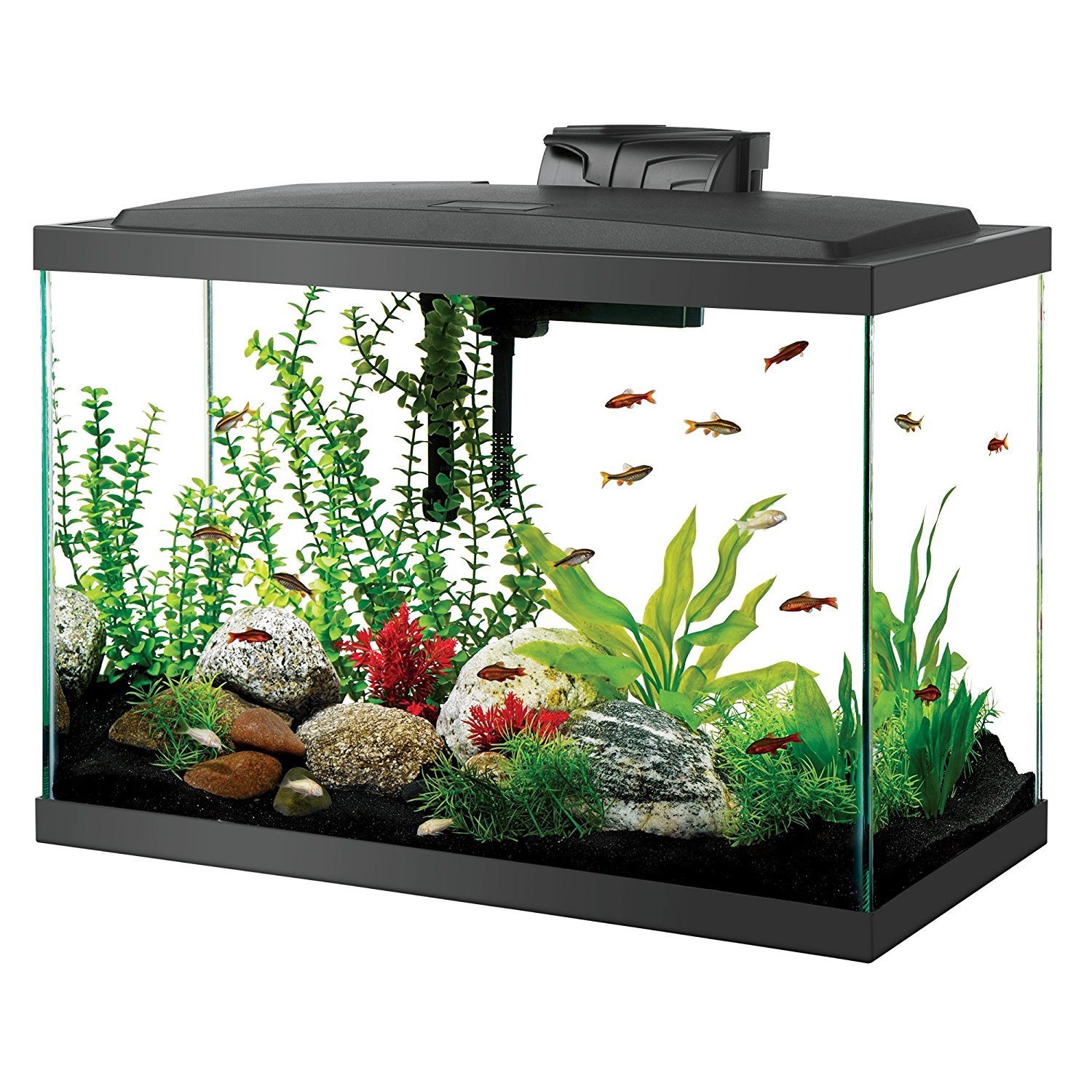 Amazon.com : Aqueon Aquarium Fish Tank Starter Kits with LED ...