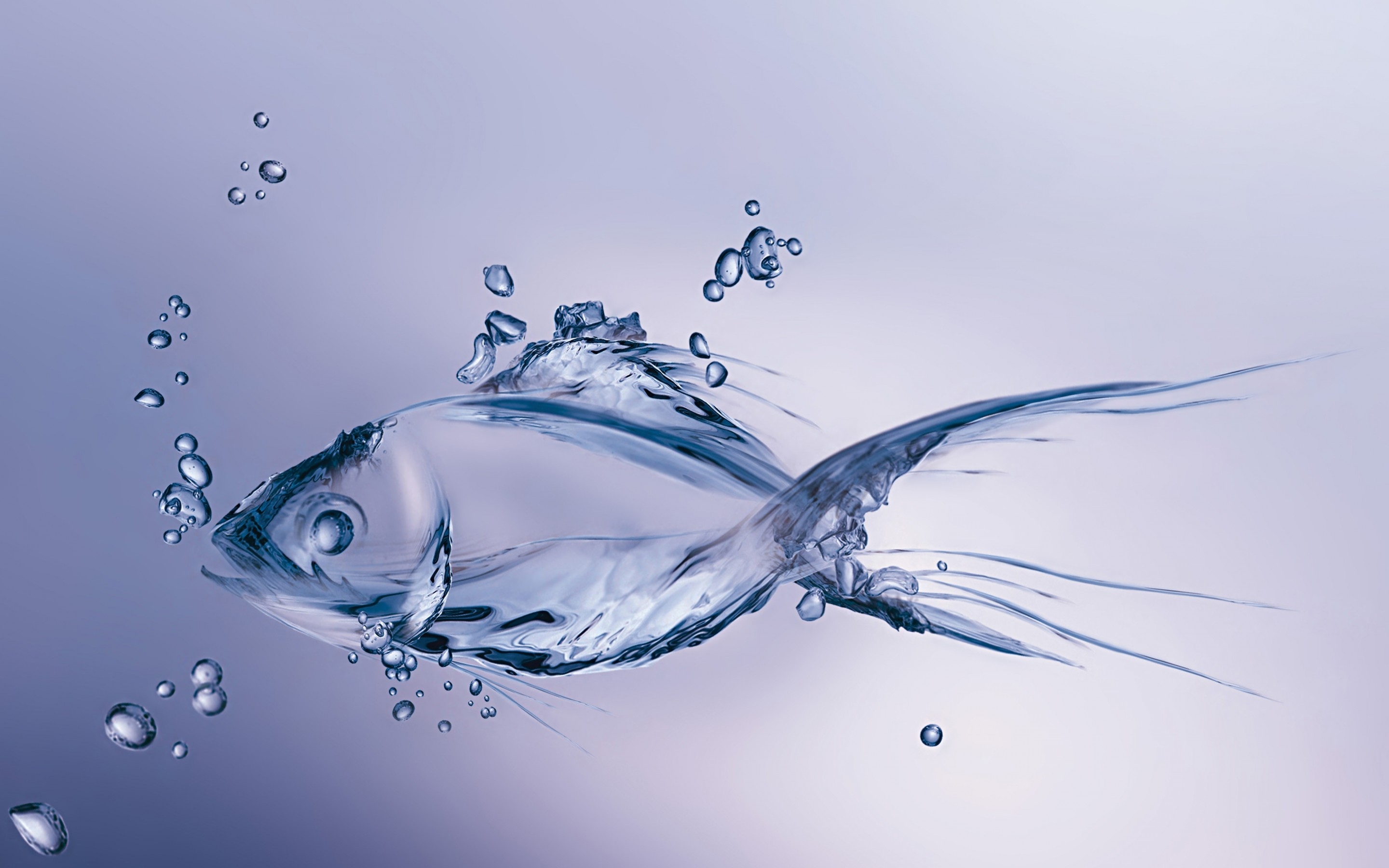512 Fish HD Wallpapers | Background Images - Wallpaper Abyss