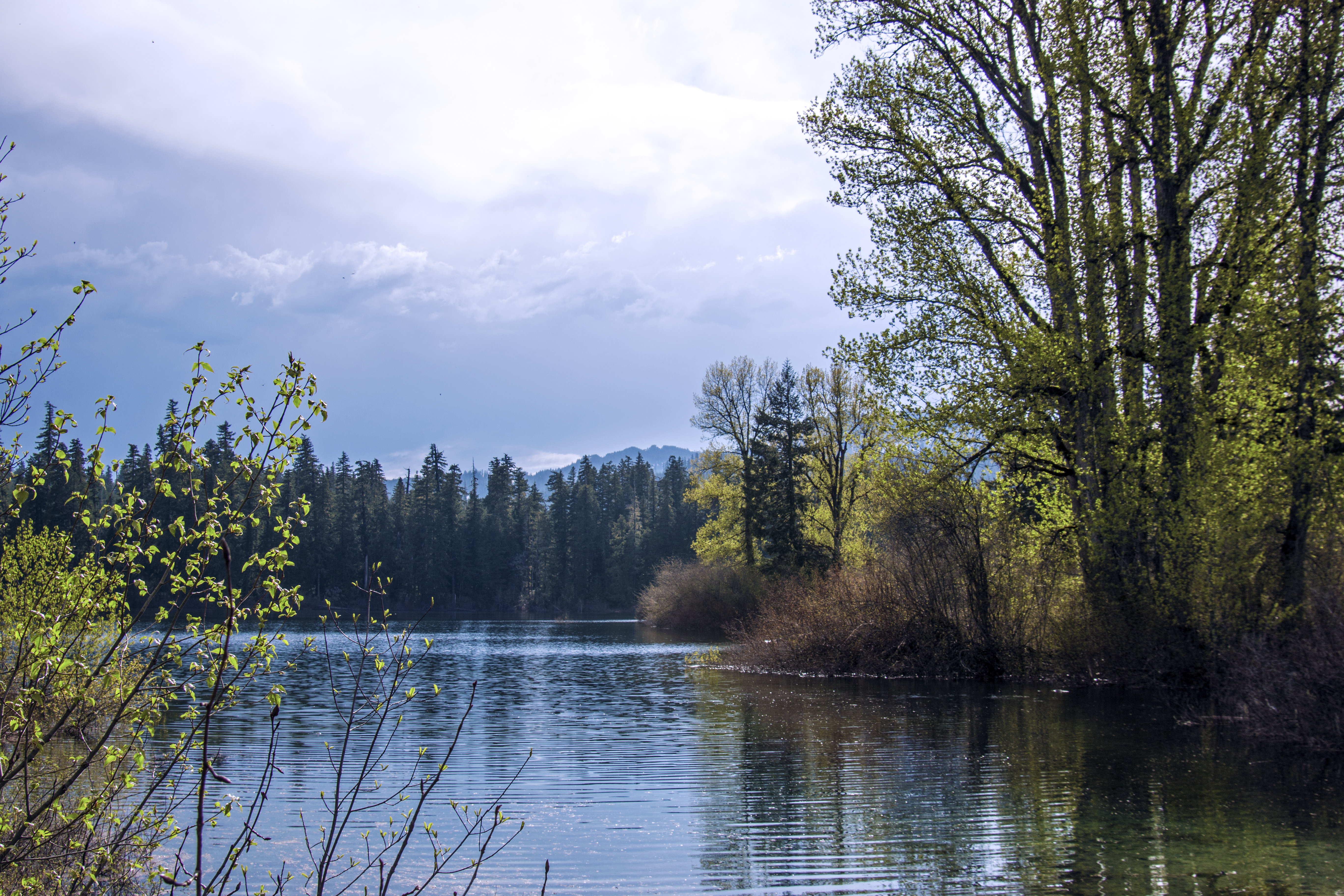 Fish Lake, Oregon, Forest, Lake, Oregon, Water, HQ Photo