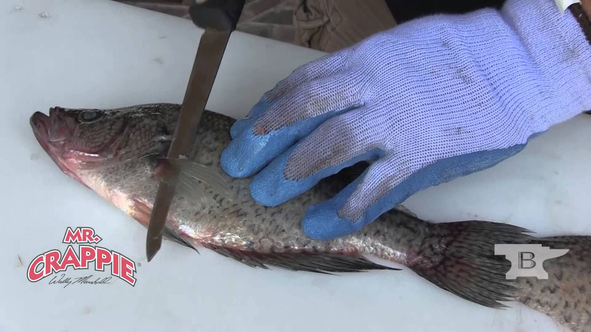 How To Fillet Fish with Buck Knives Slab Slinger Knives - YouTube