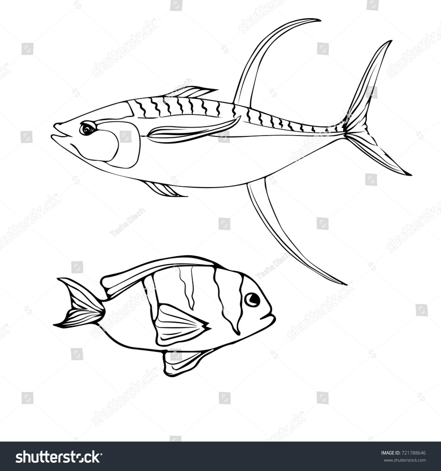 Fishing Abstract Vector Fish Sketch Fishes Stock Photo (Photo ...