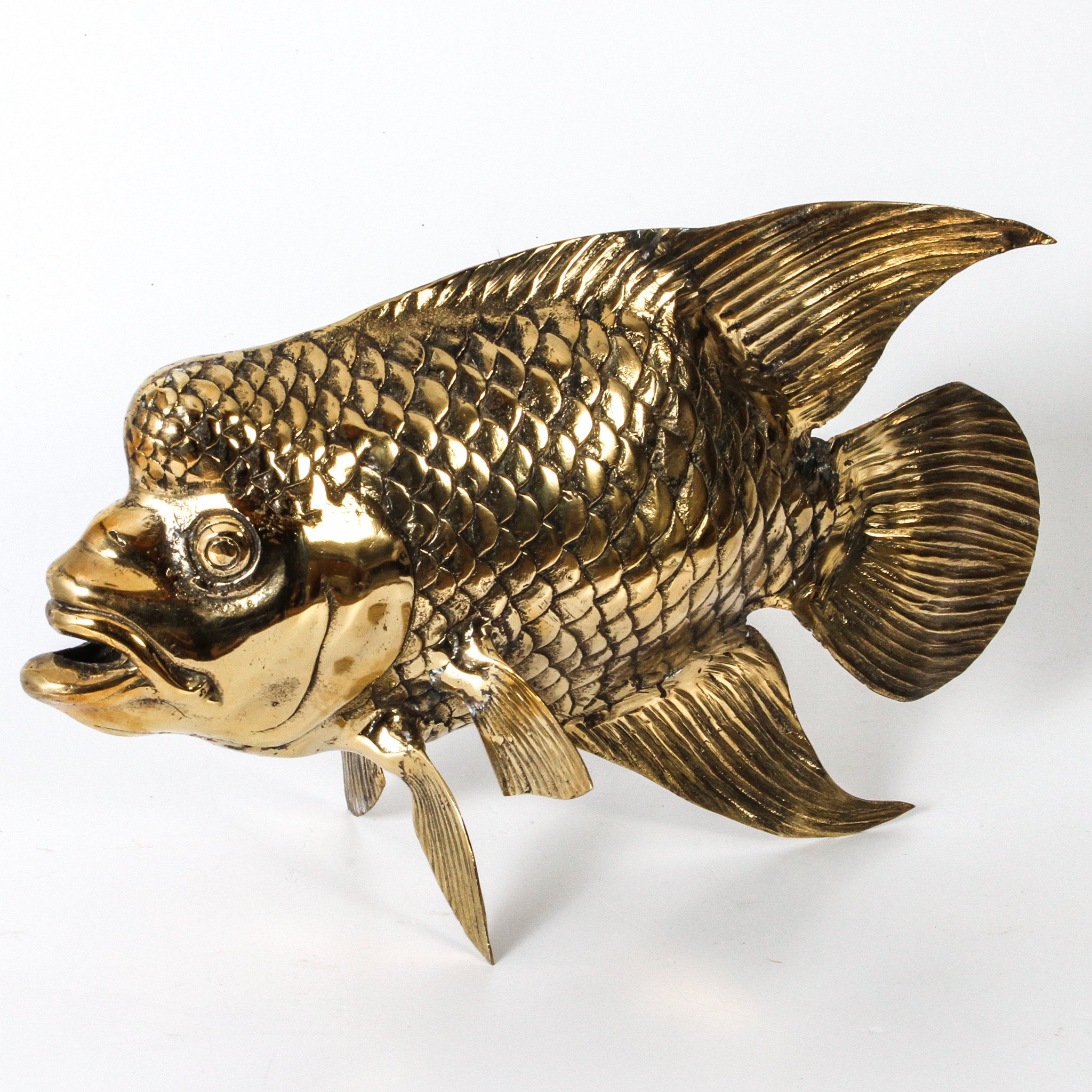 Gold Maori Wrasse Fish Statue – Indigo Love Collectors