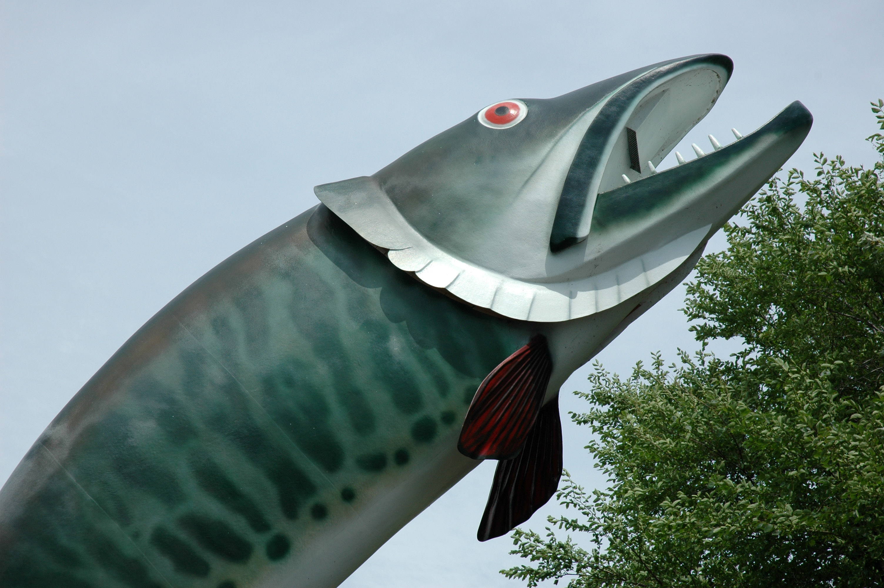 Husky the Muskie Fish Statue in Kenora, Ontario, Canada image - Free ...