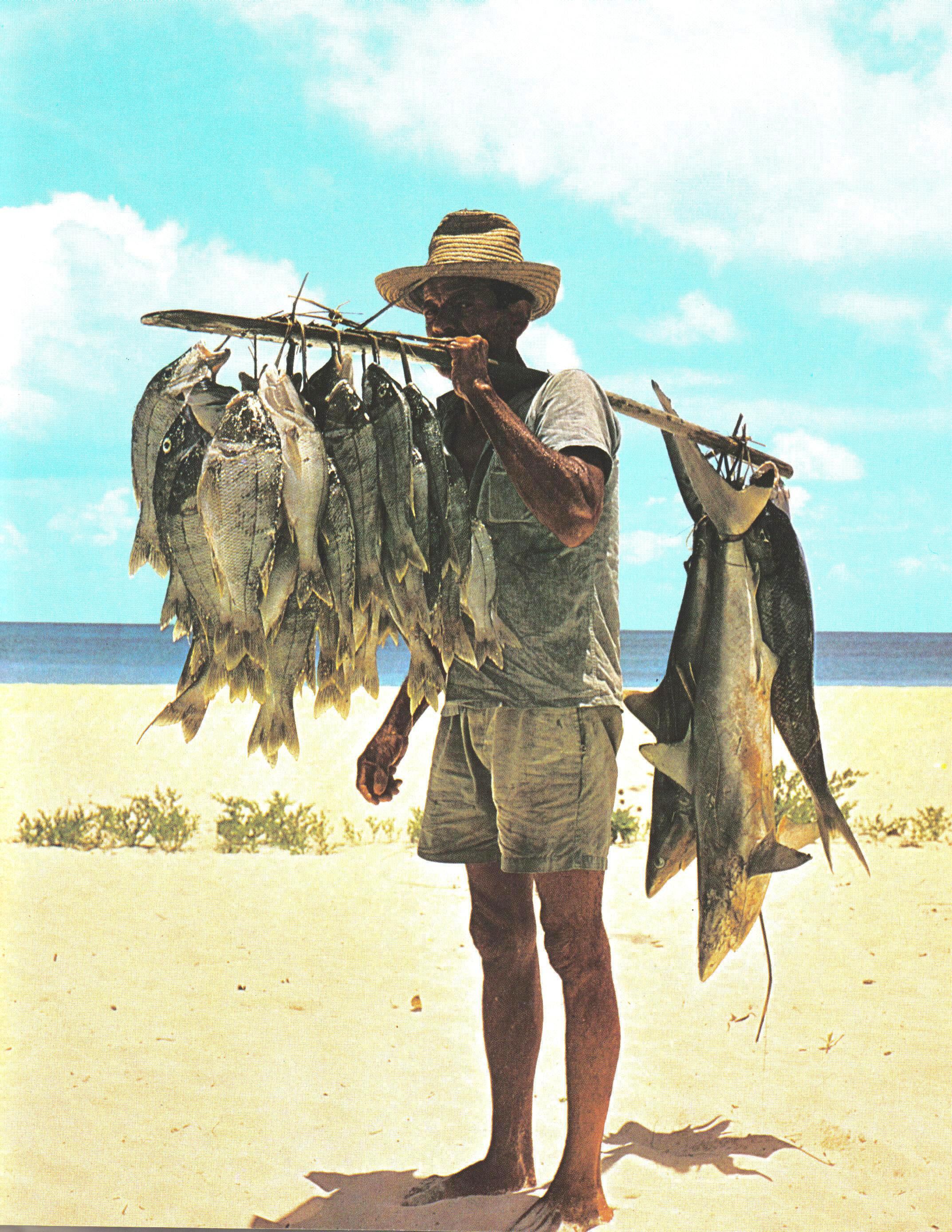 File:Fisherman and his catch Seychelles.jpg - Wikimedia Commons