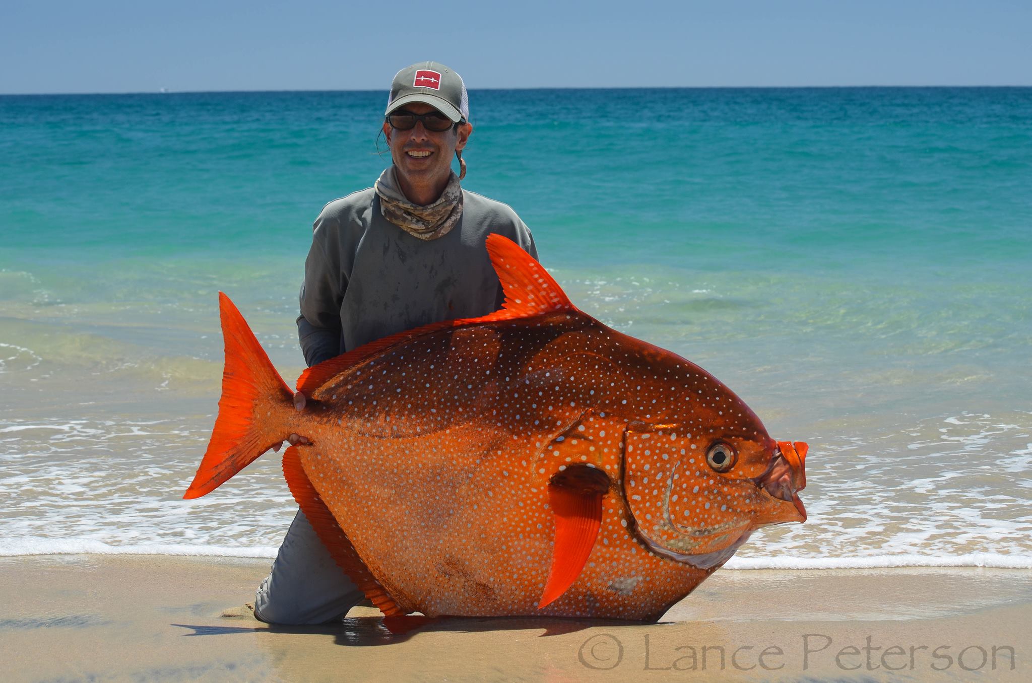 Baja California fishing guide lands rare opah, or moonfish – but ...