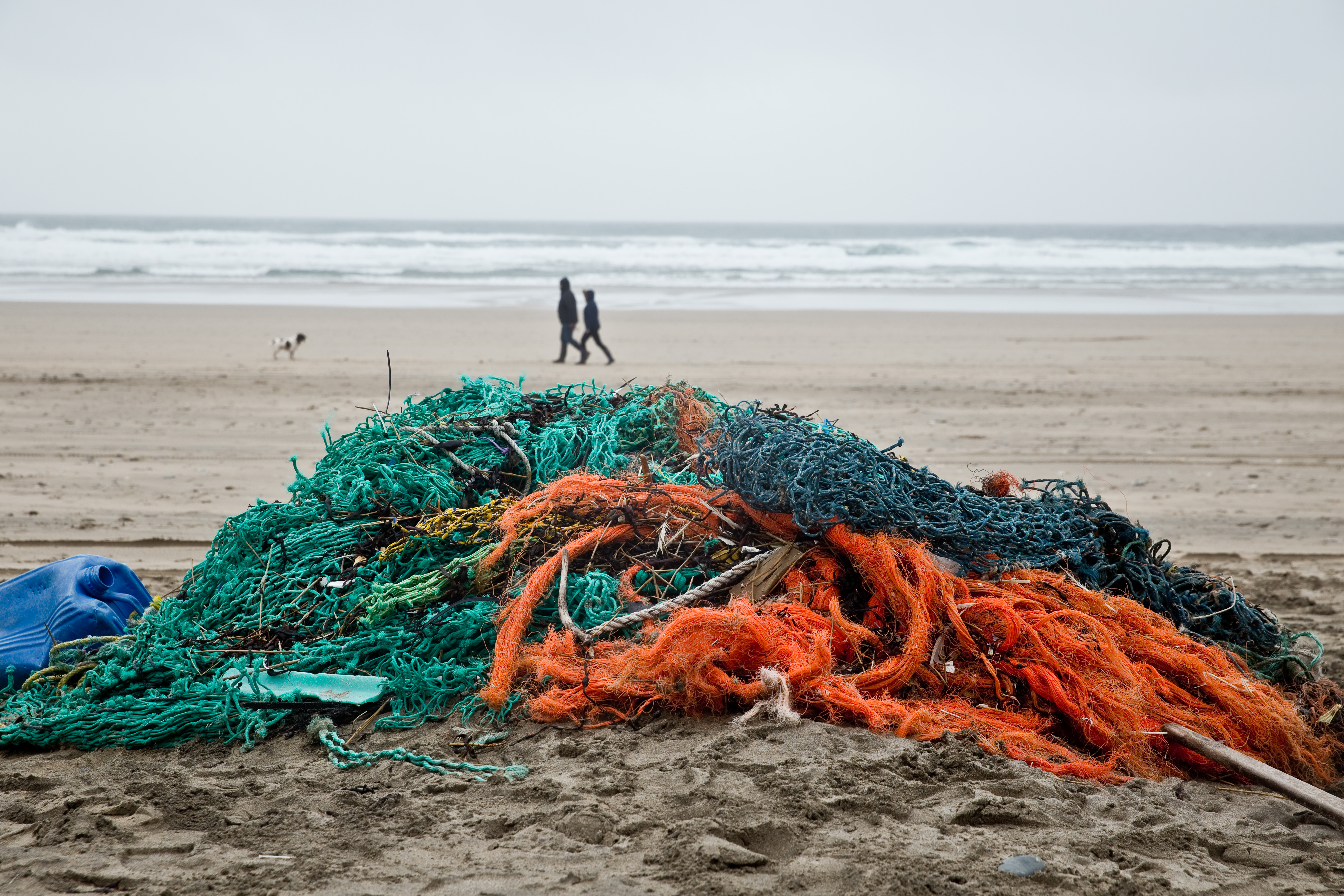 6 creative ways to tackle ghost gear | World Animal Protection ...