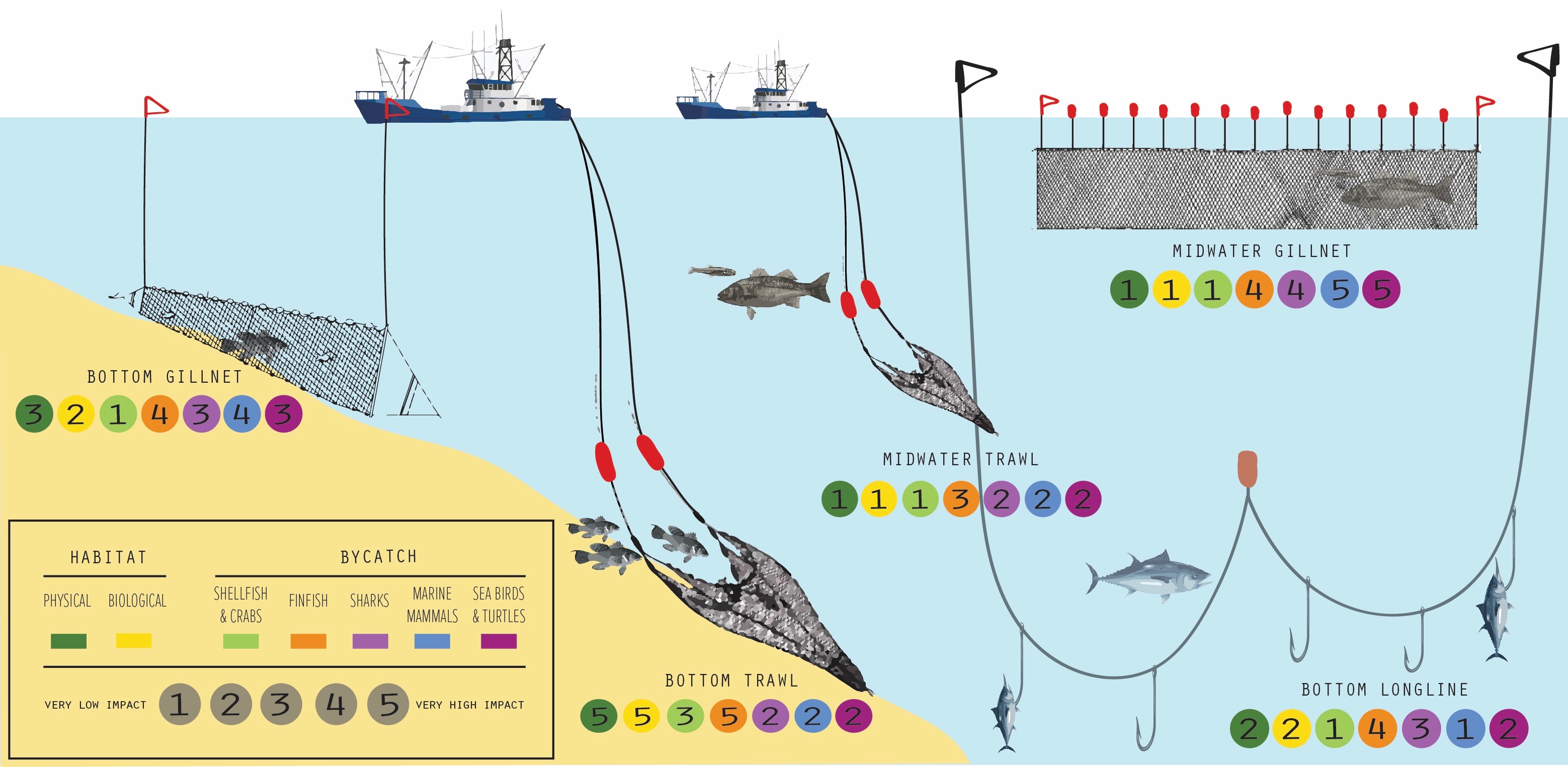 Infographic: Impact Ratings For Commercial Fishing Gears - TerraMar ...