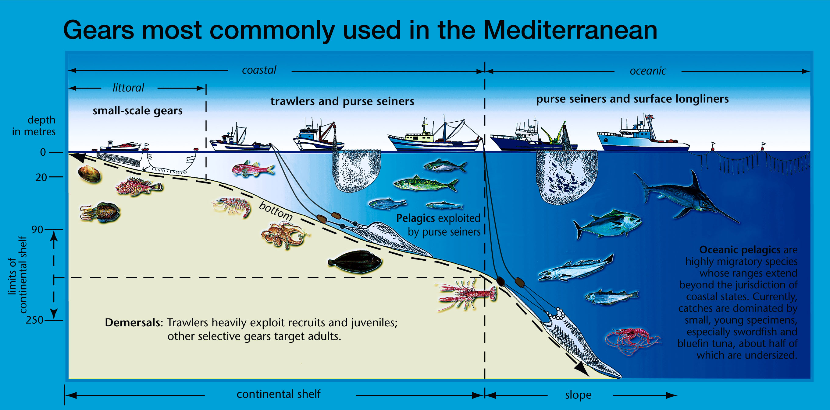 File:Mediterran fishing gear.jpg - Wikimedia Commons