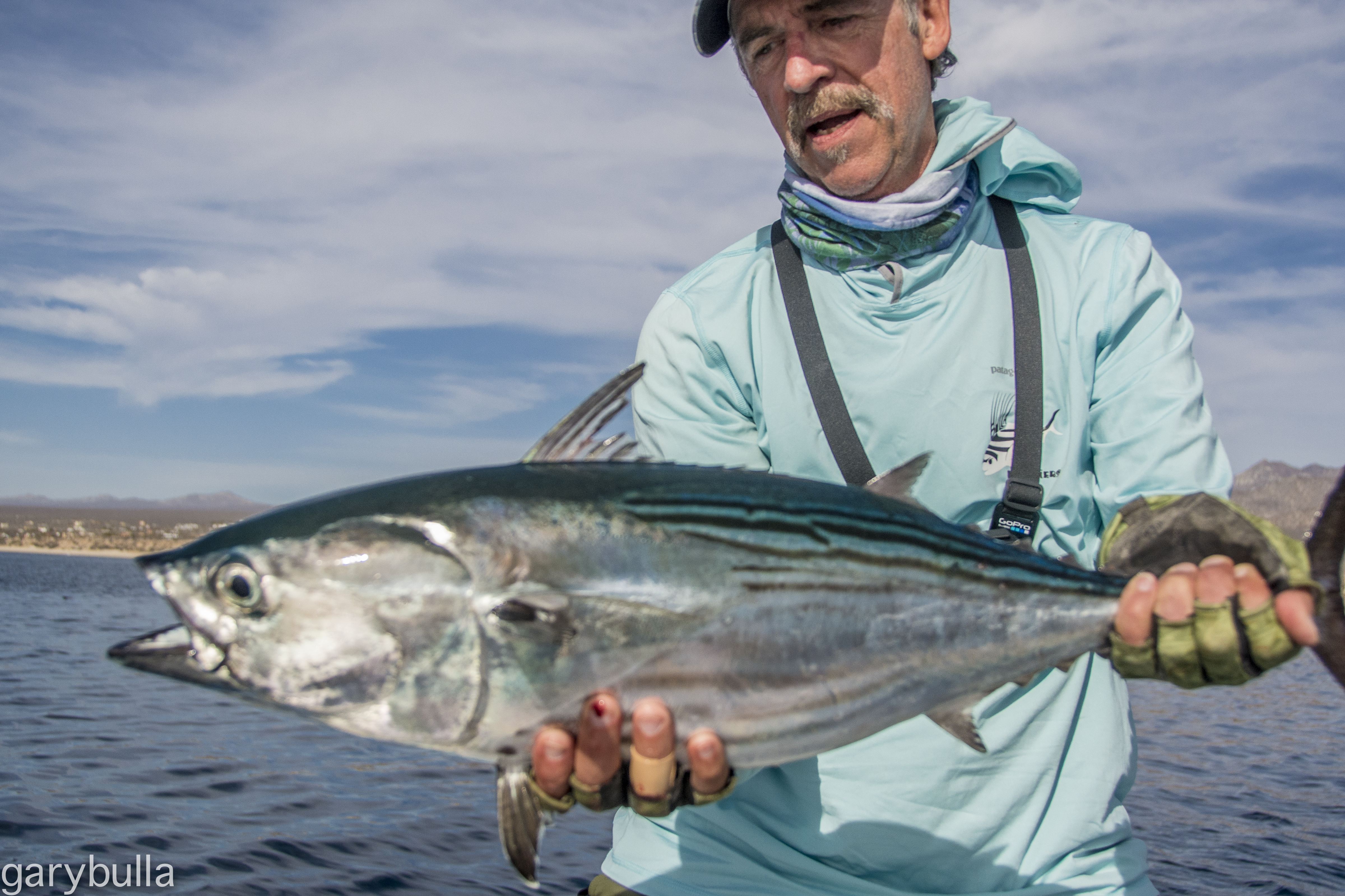 Jay's Baja Fishing Gear Check-List | The Caddis Fly: Oregon Fly ...