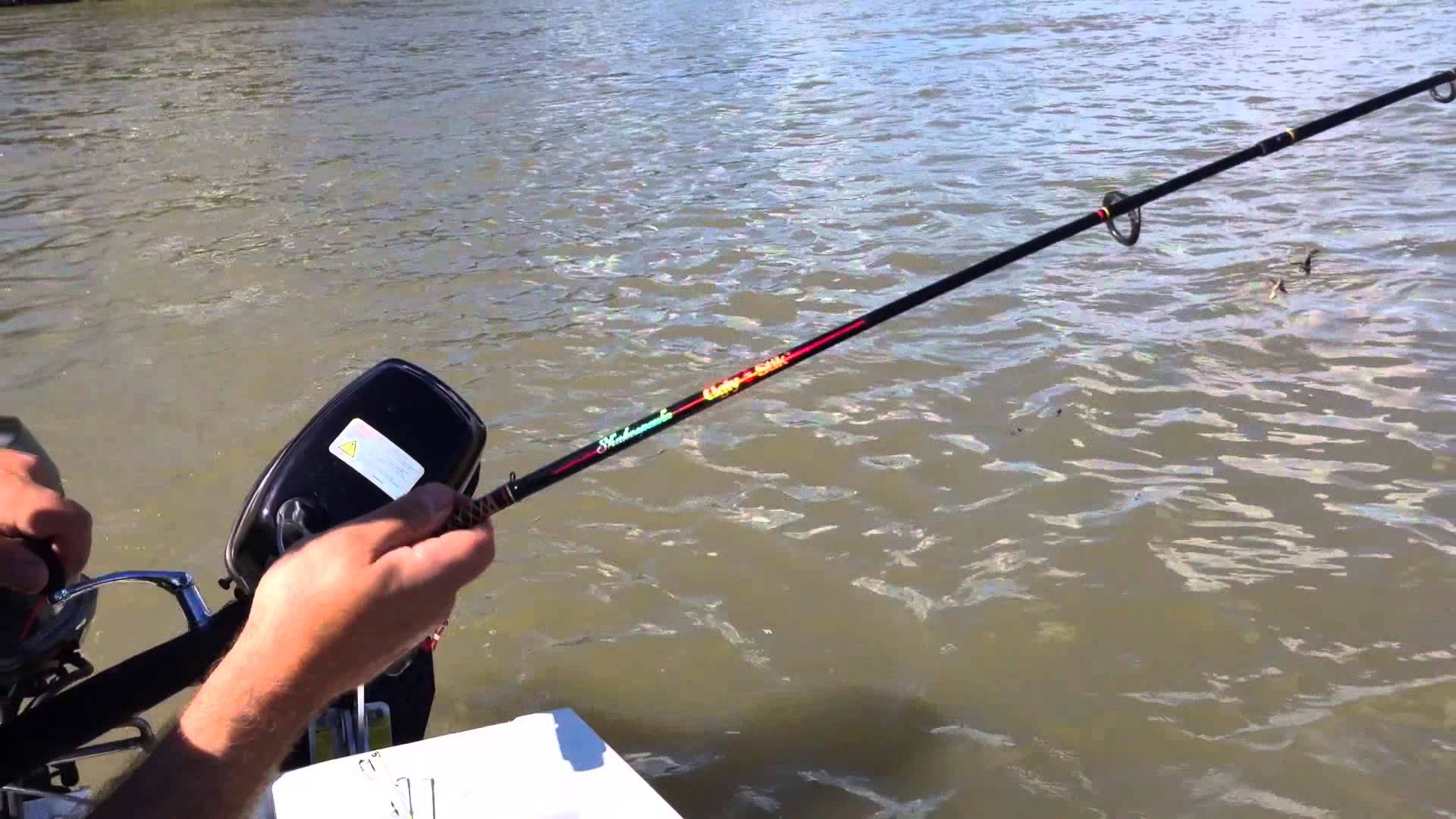 Sturgeon on Ultra-light fishing gear - Fishin' with Jimmy - YouTube