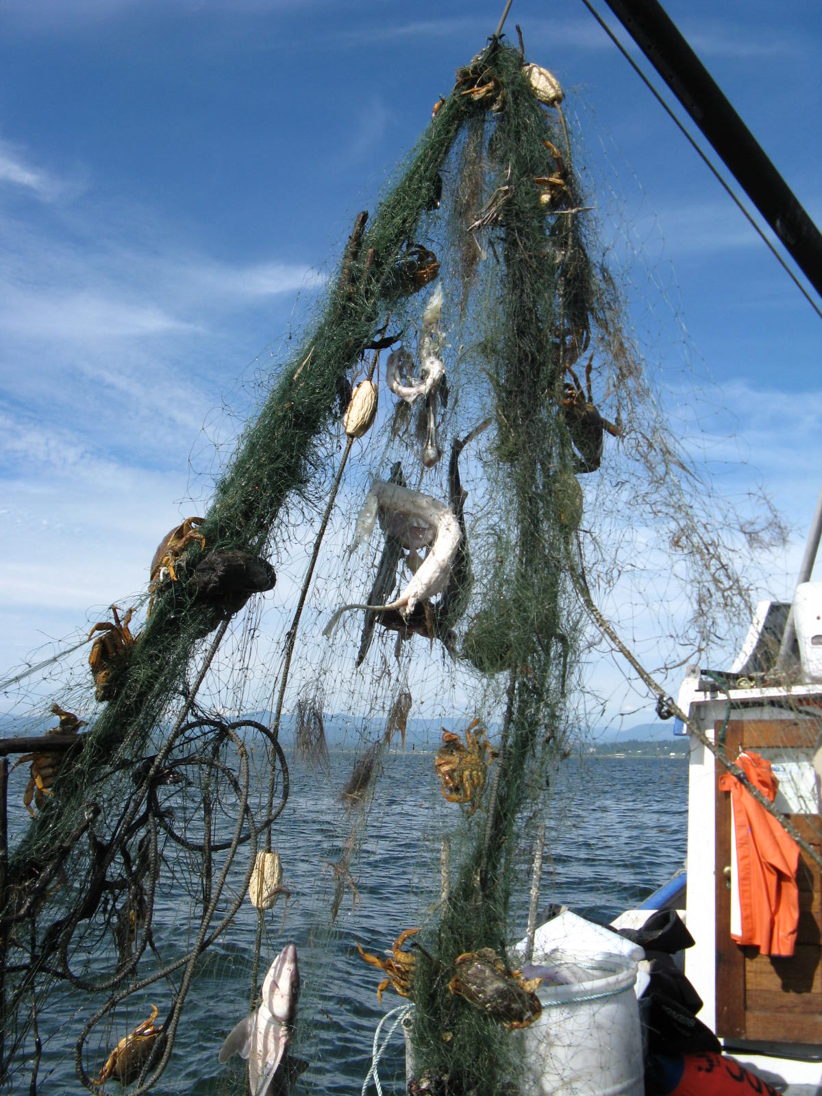 File:Derelict fishing gear with animal carasses found by the USFWS ...