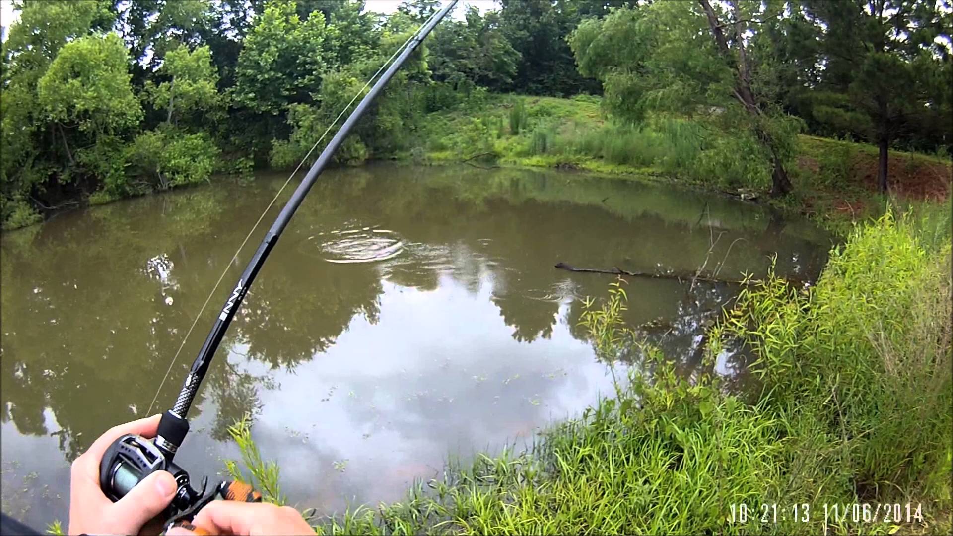 Banjo Minnow Pond Fishing - YouTube