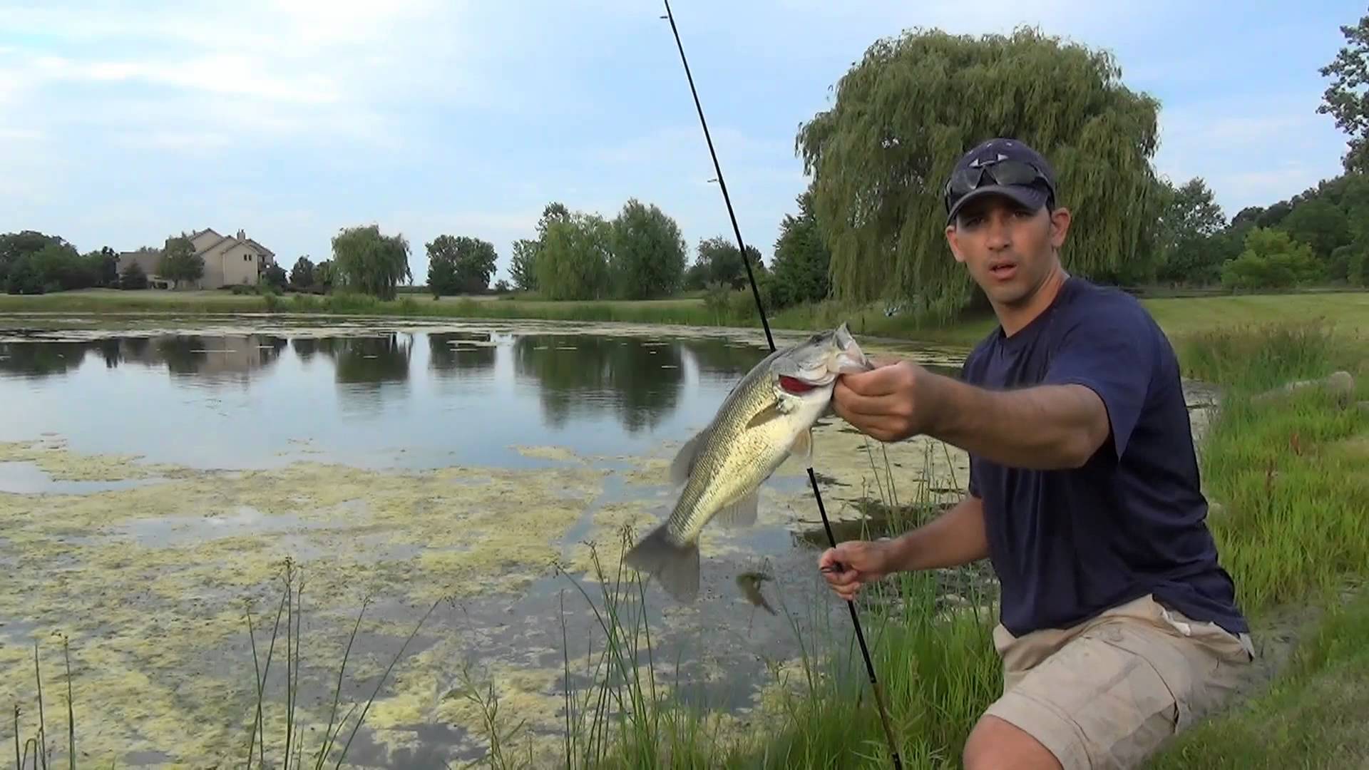 Pond Bass Fishing - Summer Weeds & Wacky Worms - YouTube