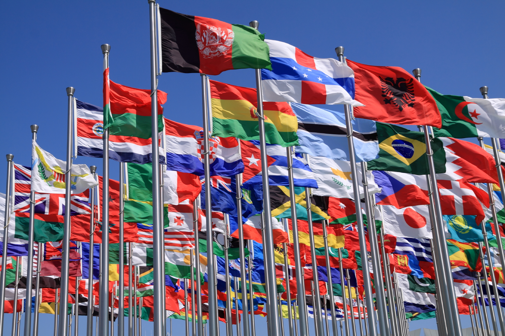 Why Don't We All Have a World Flag Flying? | Rick Schaefer MD