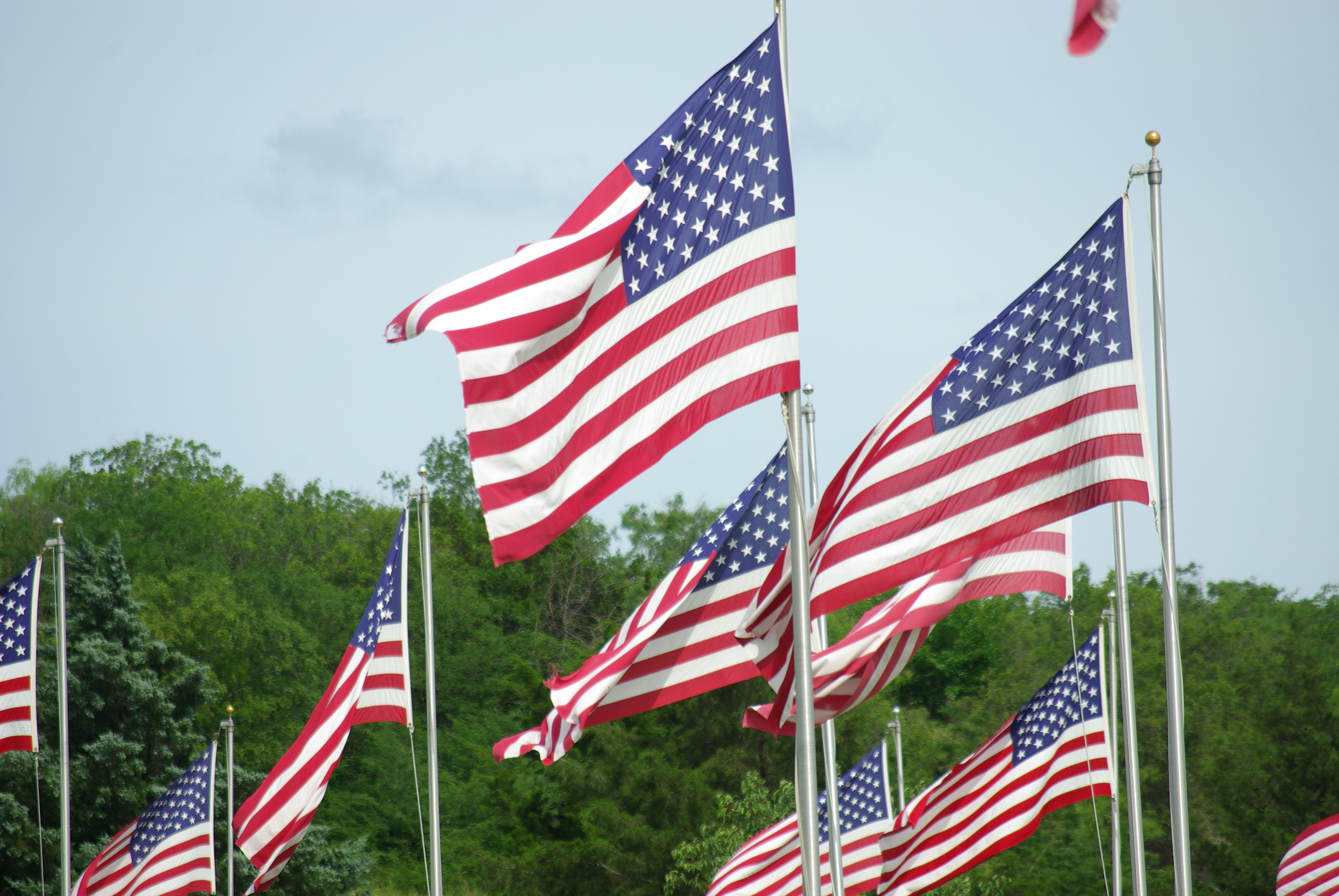 Memorial Day 2016 – Fly your flag today | Millard Fillmore's Bathtub