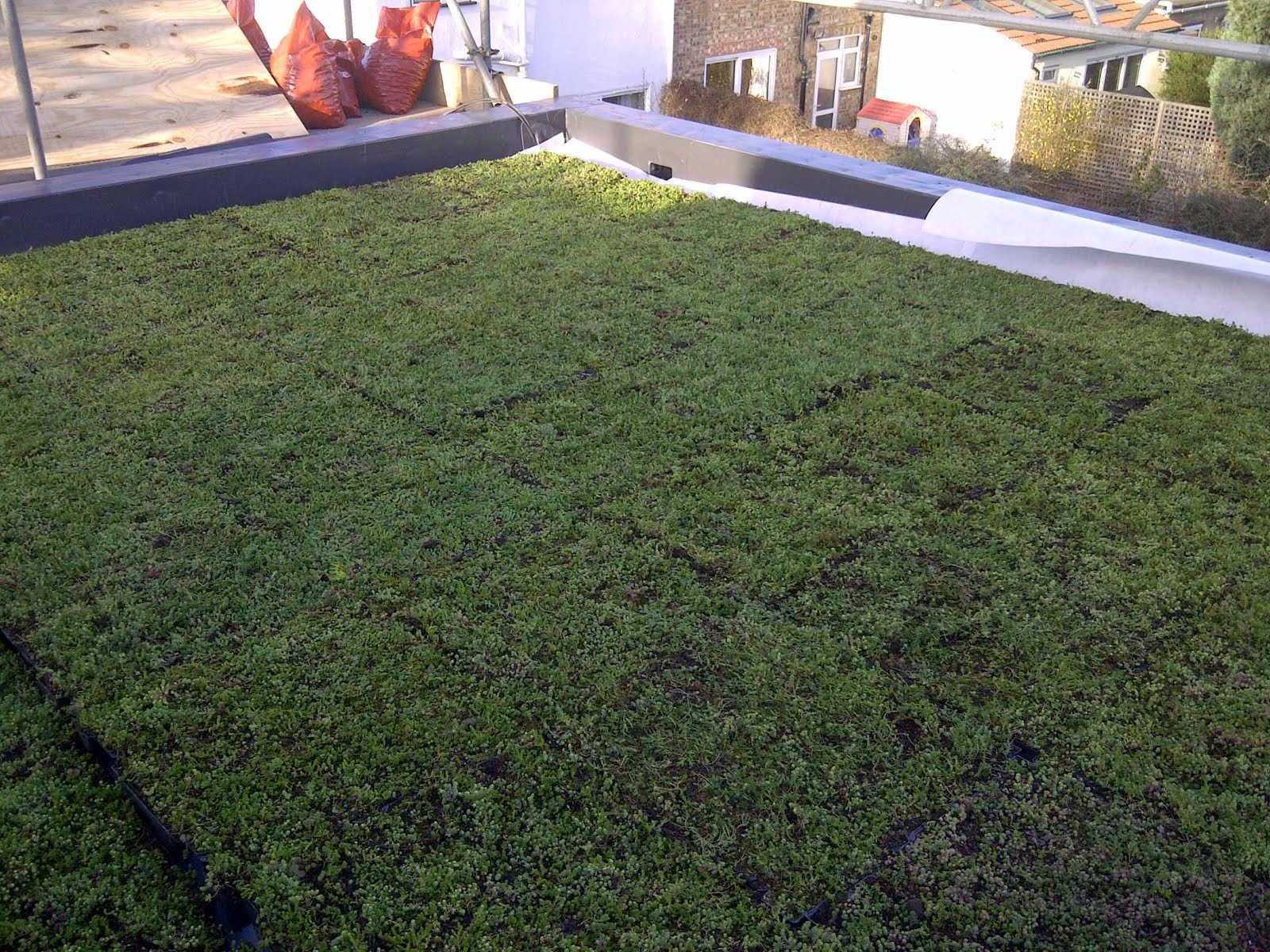 What can I install my green roof on? - UK Flat Roofing
