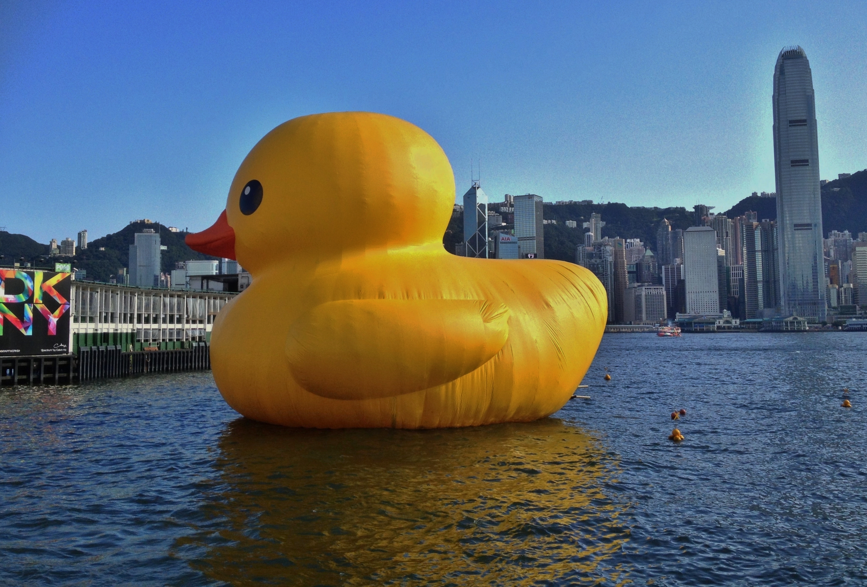 Hofman's Floating Duck…in HK | That's how I see the world