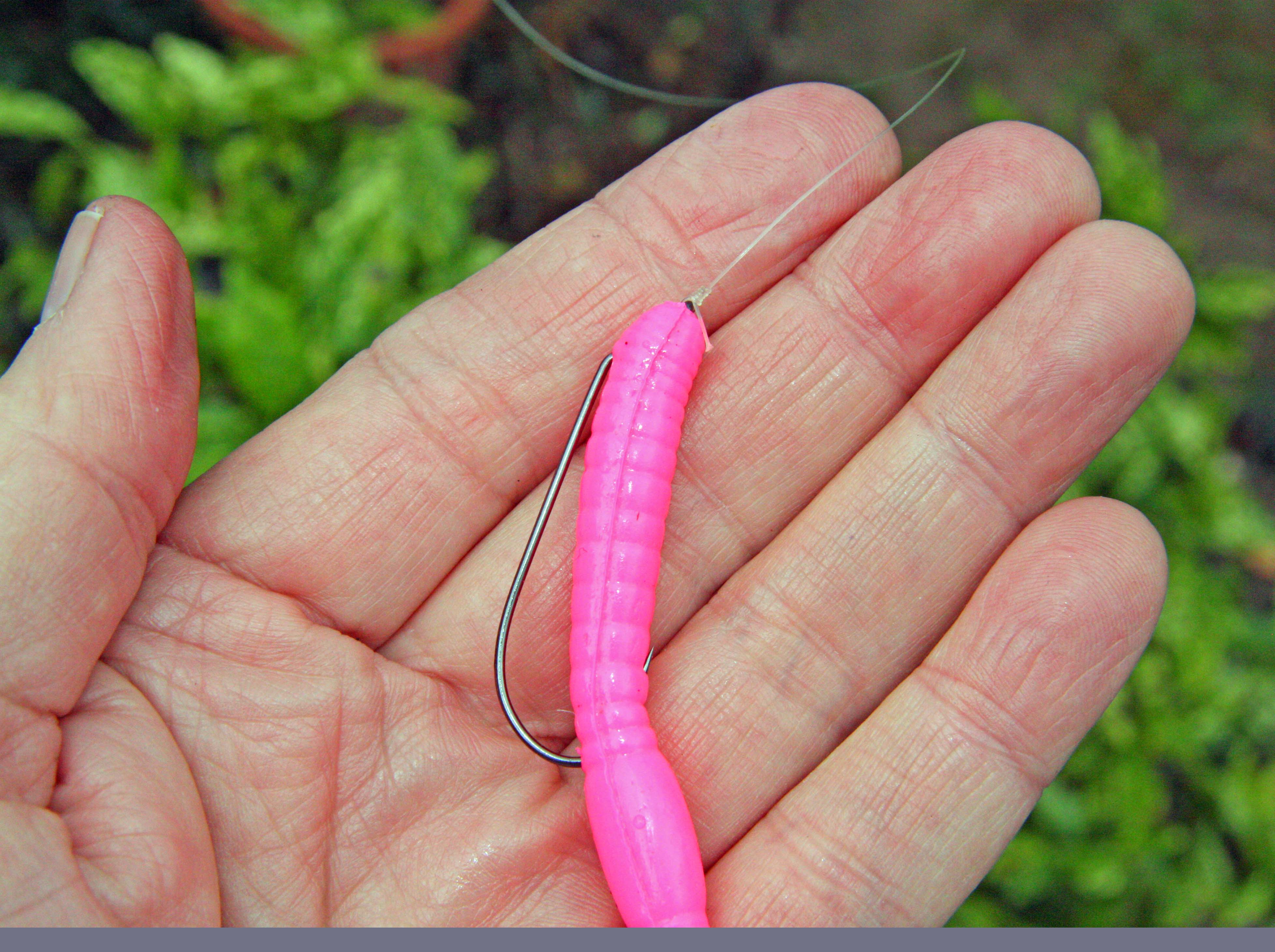 Float a Worm for Big Bass