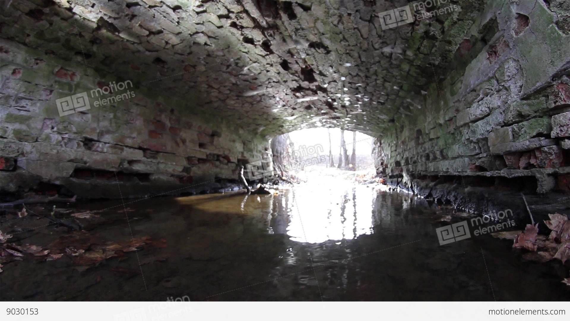 Water Flooded Tunnel Built Of Brick On The Edge Of A Forest 1 Stock ...