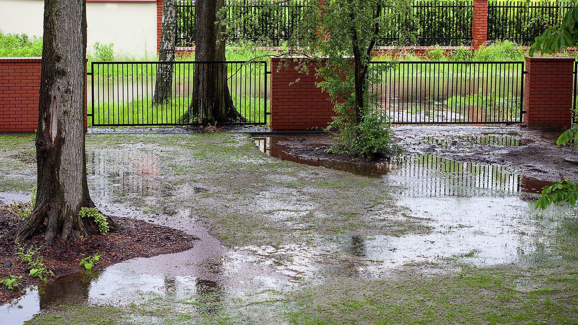 6 tips to remedy a flooded yard or garden - Chicago Tribune