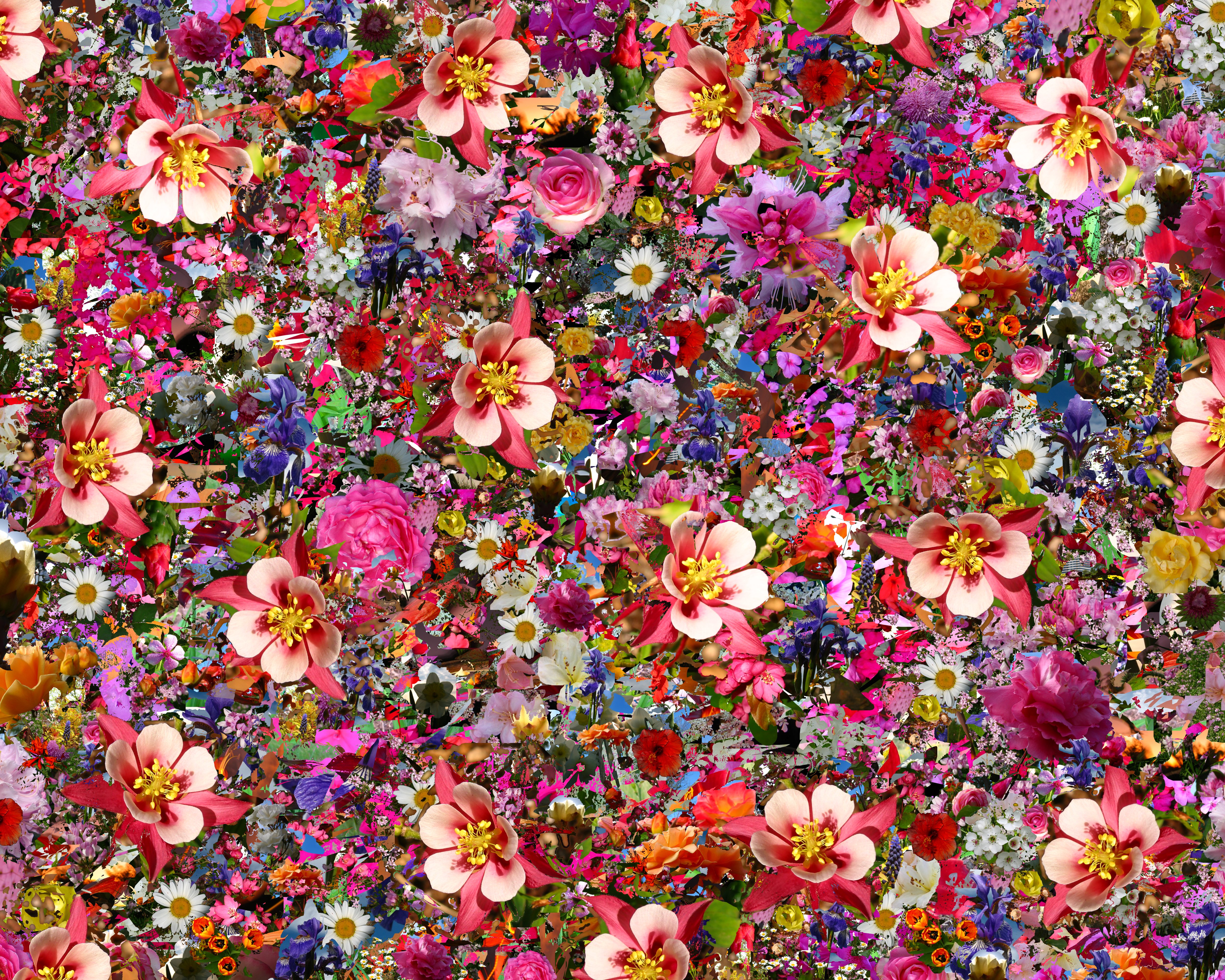 Soul Amp: Psychedelic Columbine Flower Photo Collage - Massive ...