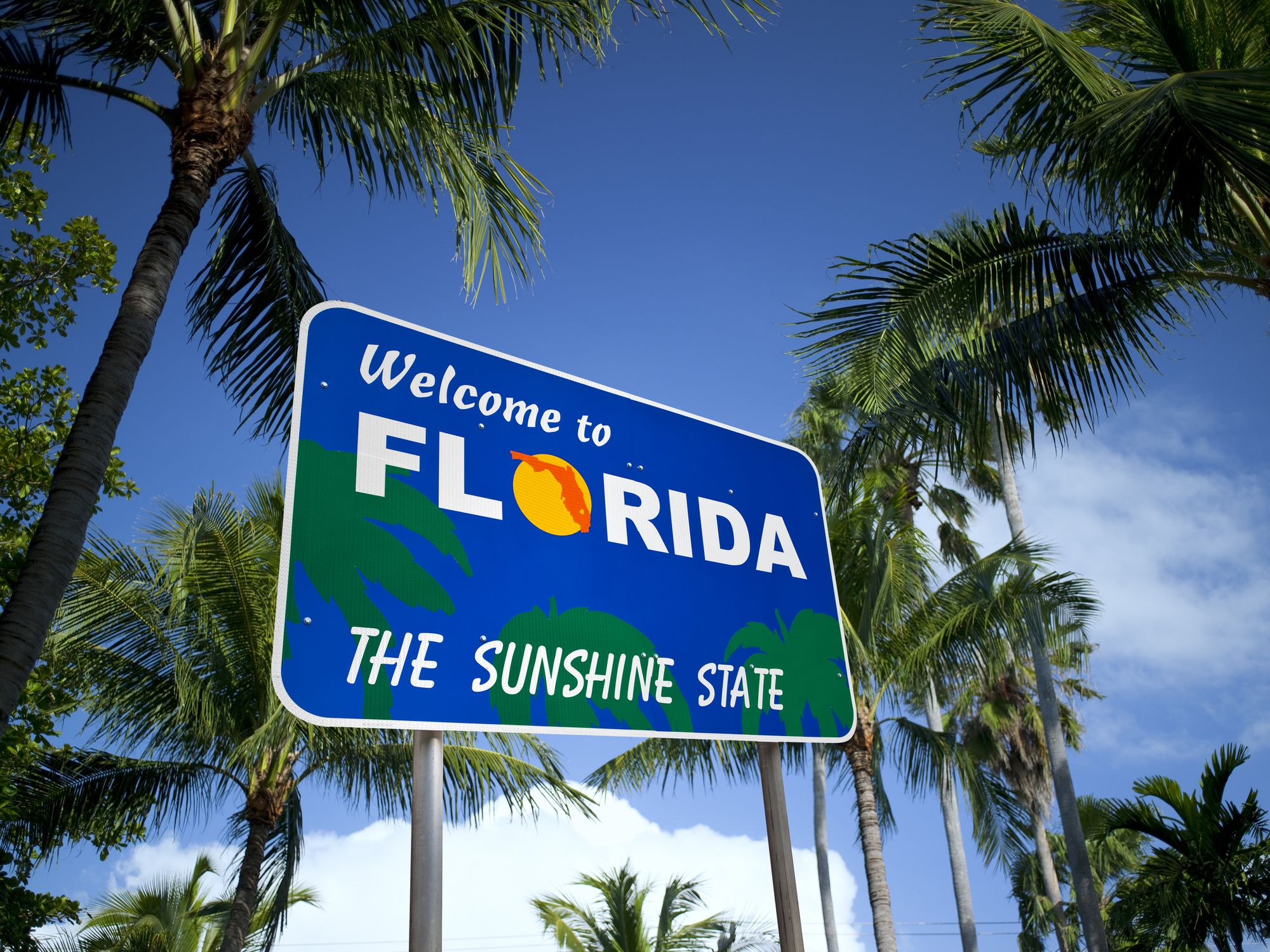 An Overview of Taxes in Florida