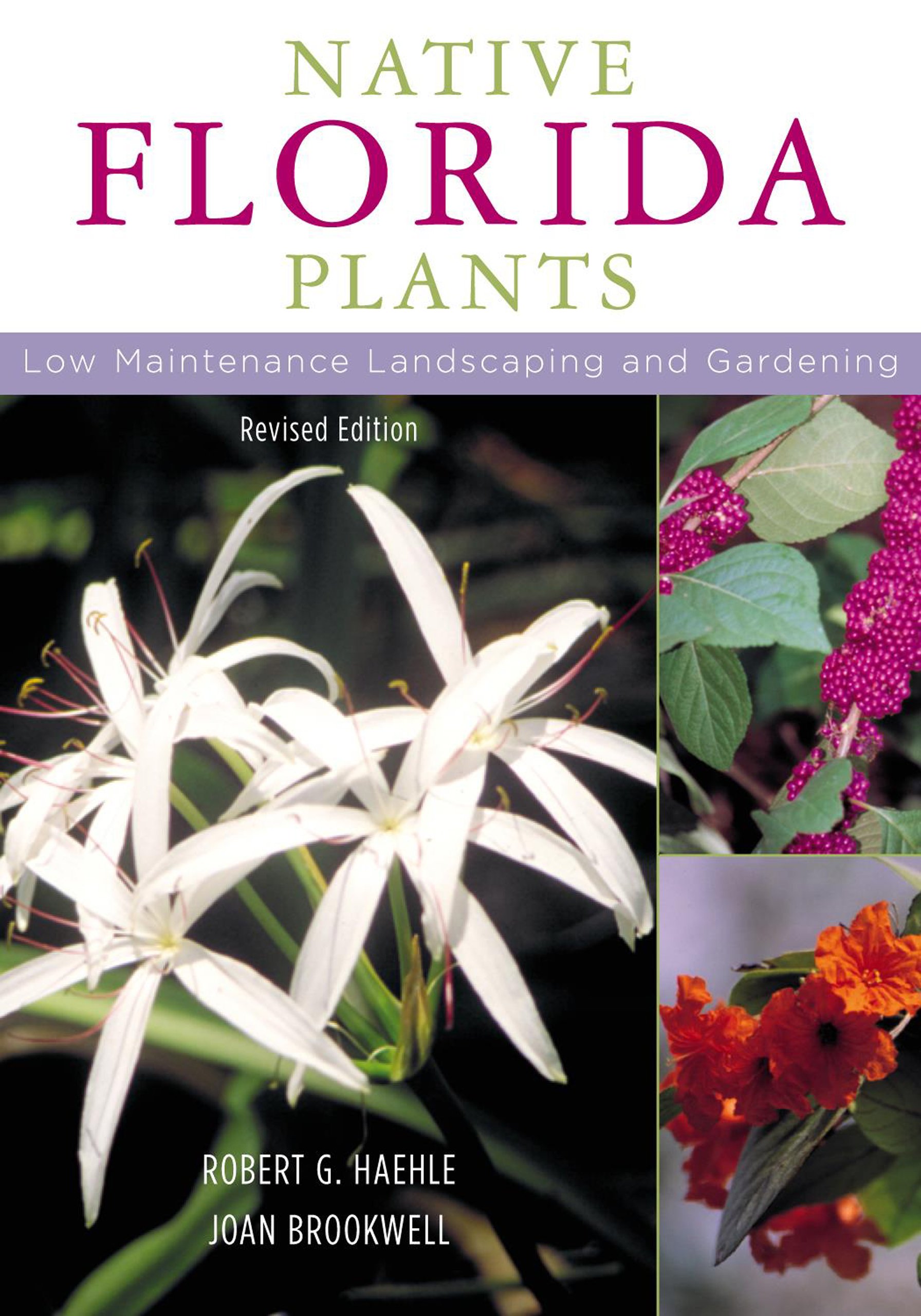 Native Florida Plants: Low Maintenance Landscaping and Gardening ...
