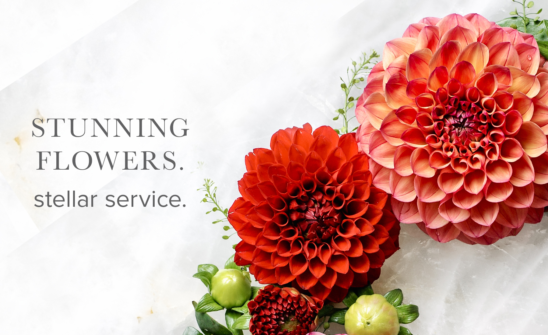 Fairfax Florist | Flower Delivery by Twinbrook Floral Design