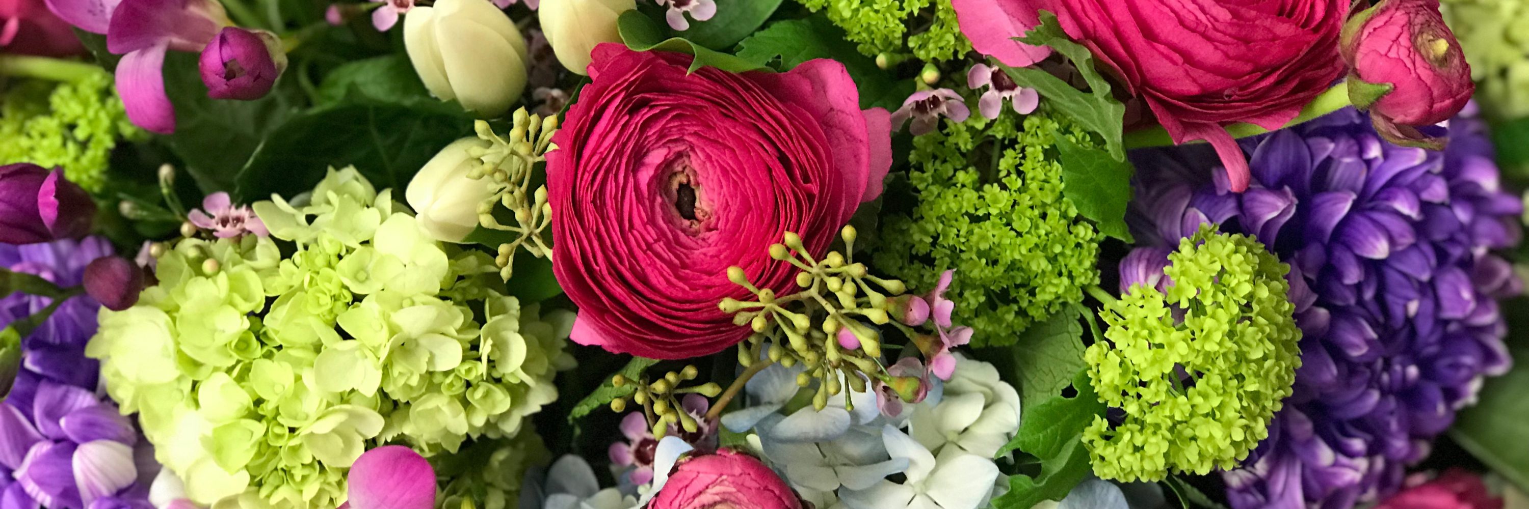 Violet Blooms, Pickering Flower Shops, Florist Pickering Durham Flowers