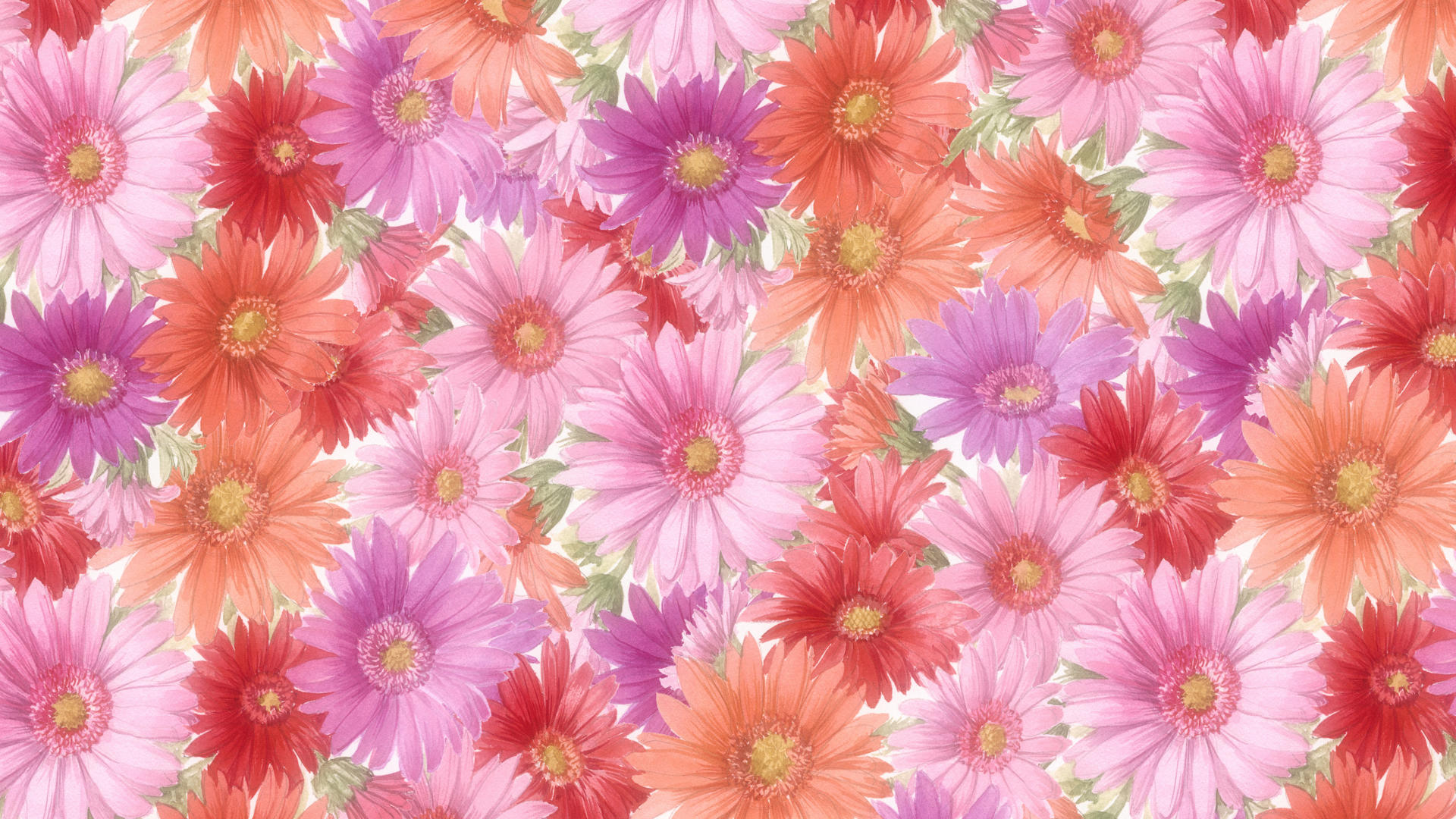 Hd Flower Wallpaper Pics Of Laptop Flowers Background ~ Gipsypixel.com